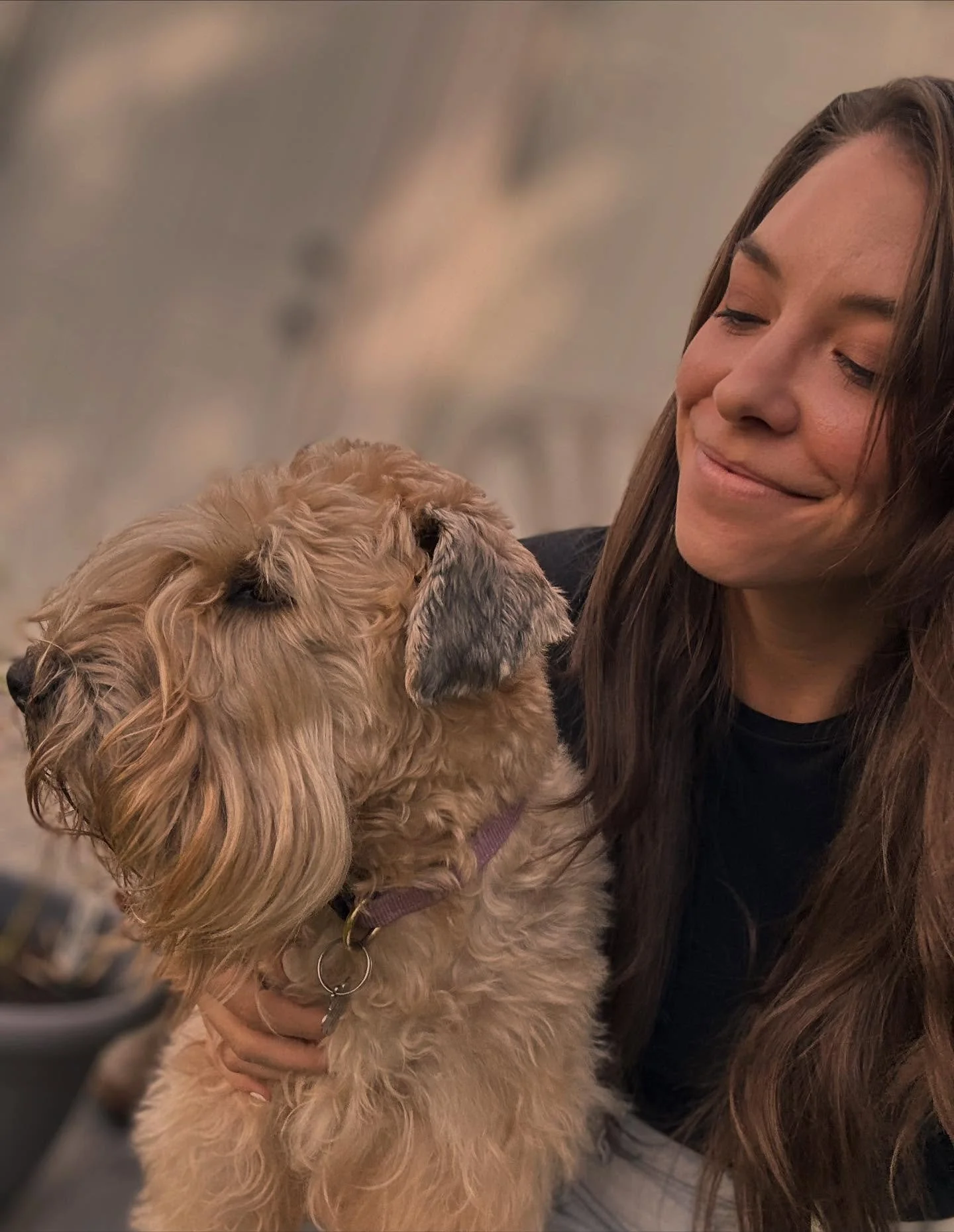 These sweet faces have carried Lauren through one of the toughest years of her life. 💛

Lauren shared that she doesn&rsquo;t currently have a pet of her own since her cat passed away, and that caring for our clients&rsquo; pets has filled such an im