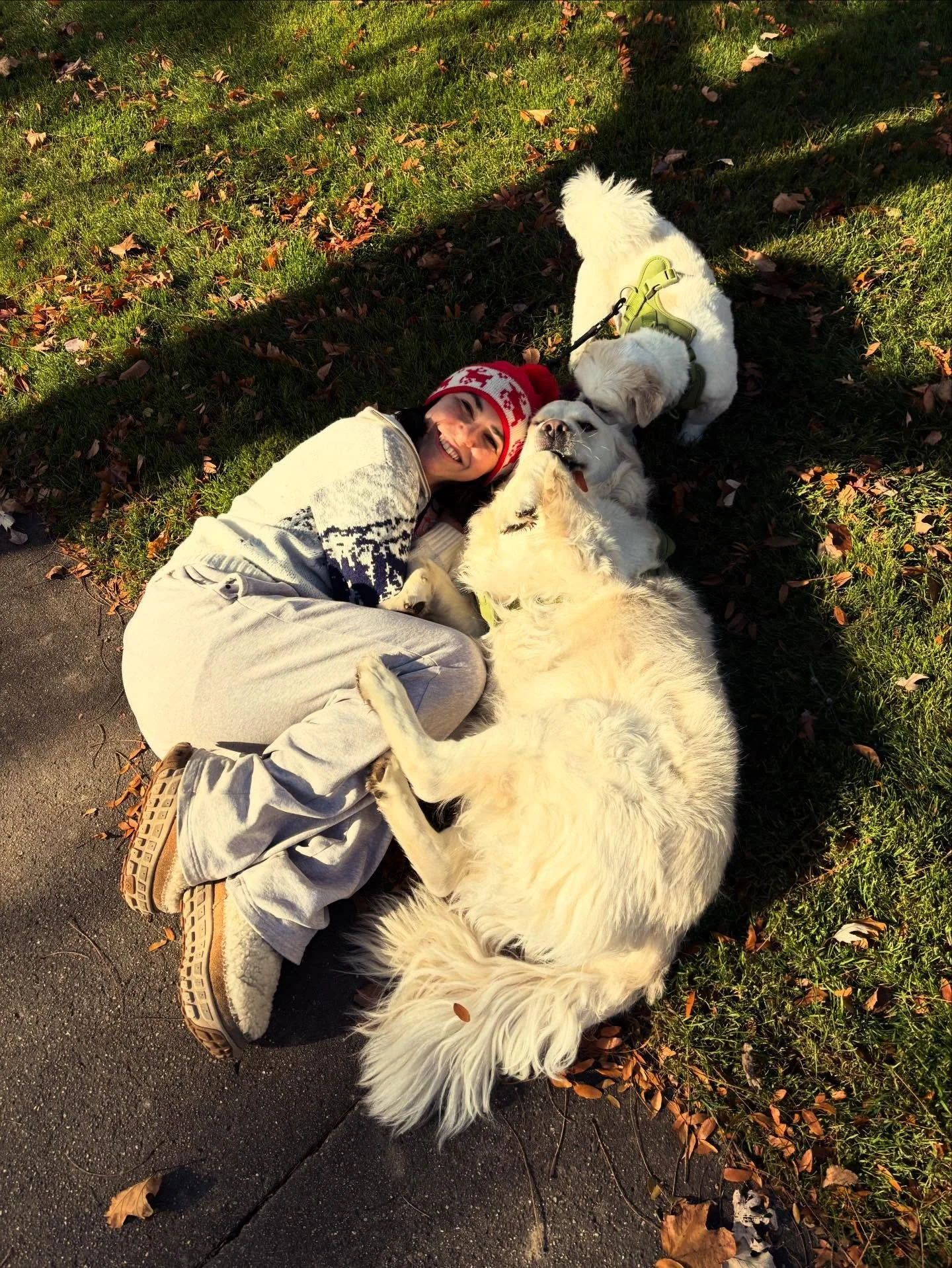 Happy Thanksgiving from all of us at Ataraxia!
Some of our team is already gearing up for all the fur-baby lovins today, and we couldn&rsquo;t be more grateful.
This holiday season has already been one for the books, and we can&rsquo;t wait to see wh