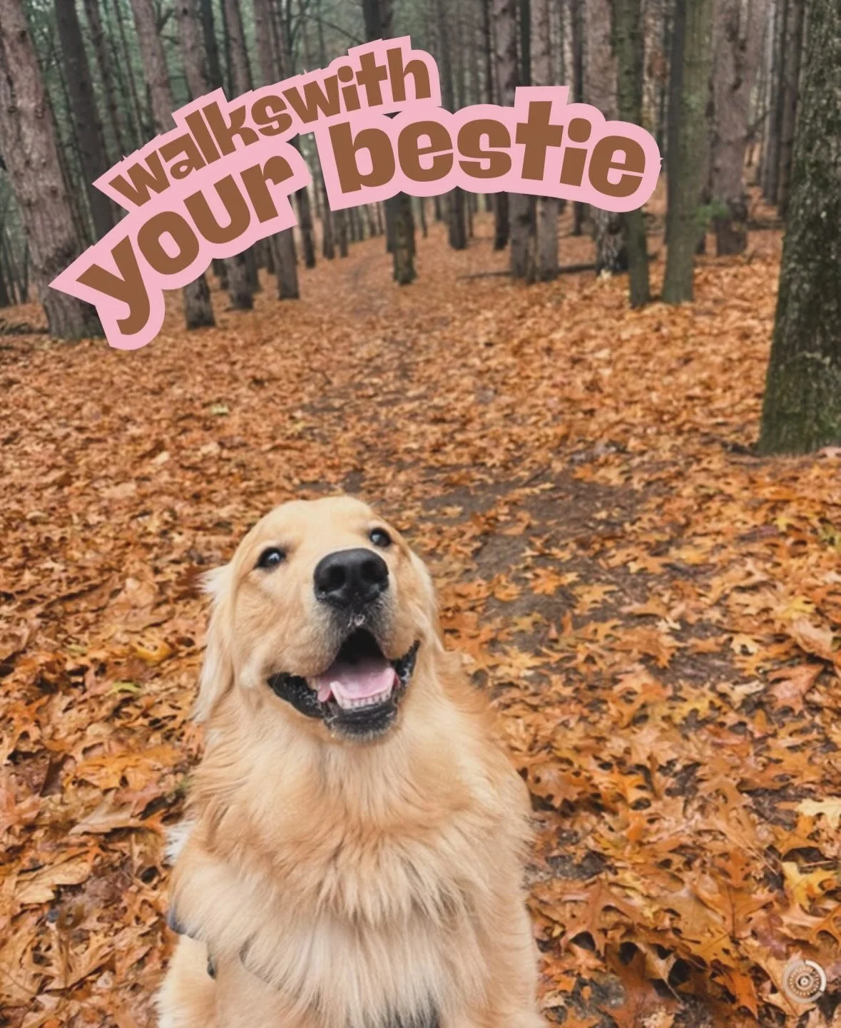 Let&rsquo;s talk about the importance of walking your dog 🐾

We love walking your pups &mdash; it&rsquo;s one of our favorite parts of the job &mdash; but if you&rsquo;re a dog owner, regular walks are one of the best things you can do for your dog 