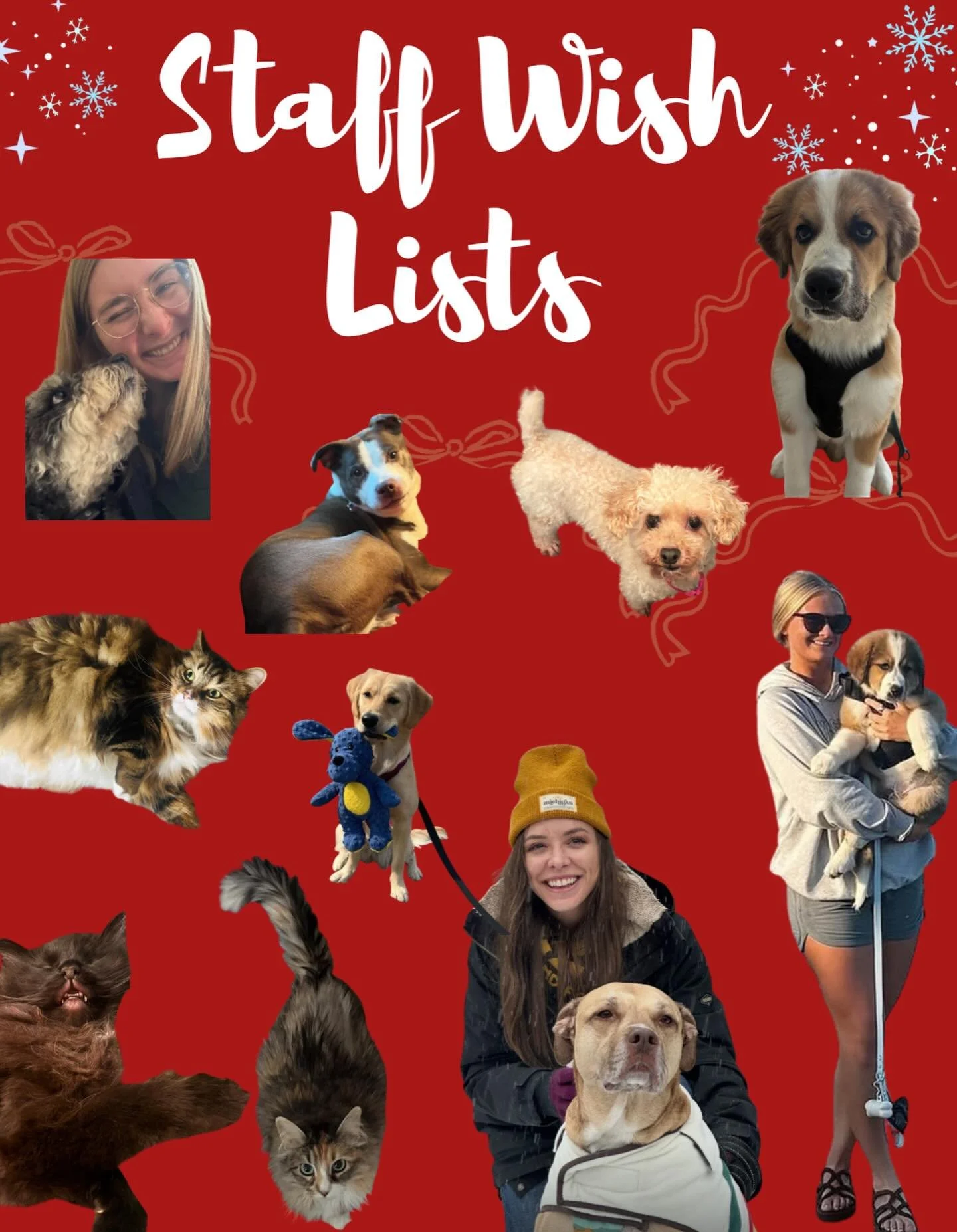 It&rsquo;s Wish List Season at Ataraxia! 🎁🐶❤️❄️

Each team member shared their must-have pet items &mdash; plus what we think our pets secretly put on their Christmas lists this year. 👀🎄

Get ready for the cutest gift inspo ever! Annabelle &amp; 