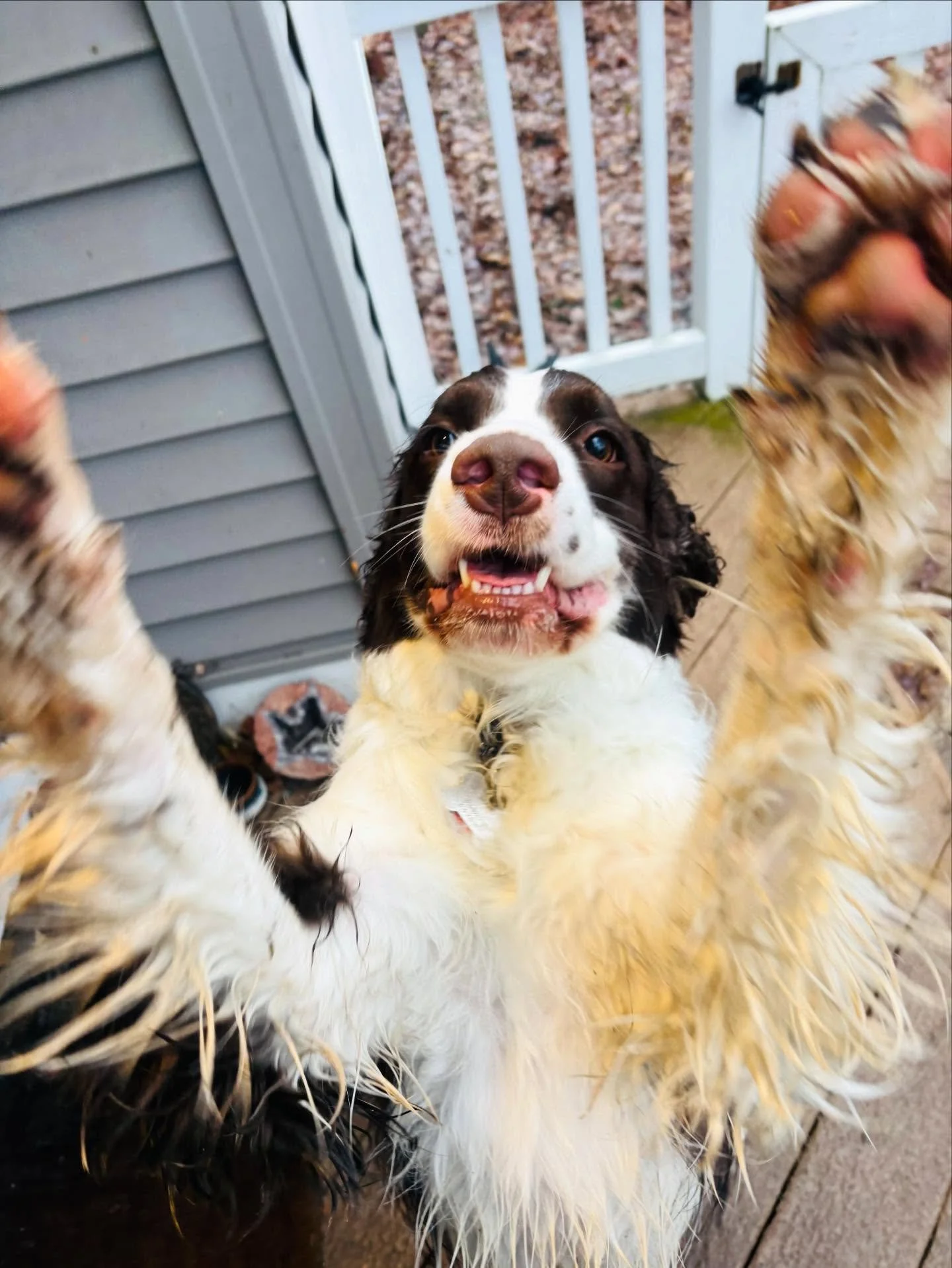Murphy says Happy Friday, Ataraxia fam! 🤍✨🫶 we are desperately missing the sun over here &amp; hoping everyone finds pockets of joy in these dreary days ☔️