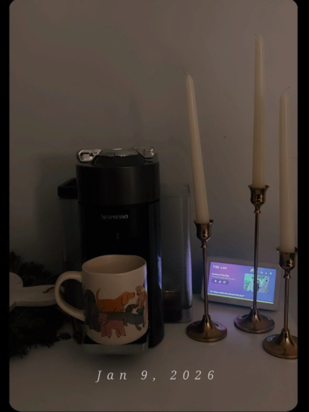 a day in the life in photos ✨🫶🐾🌮
1- coffee &amp; my kitties, every morning 
2- planning the day &amp; reading 
3-9: client block &amp; chow hound pit stop! 🛍️
10- I shower every time I come home... (weird tick &amp; to warm up lol)
11- lunch! pes