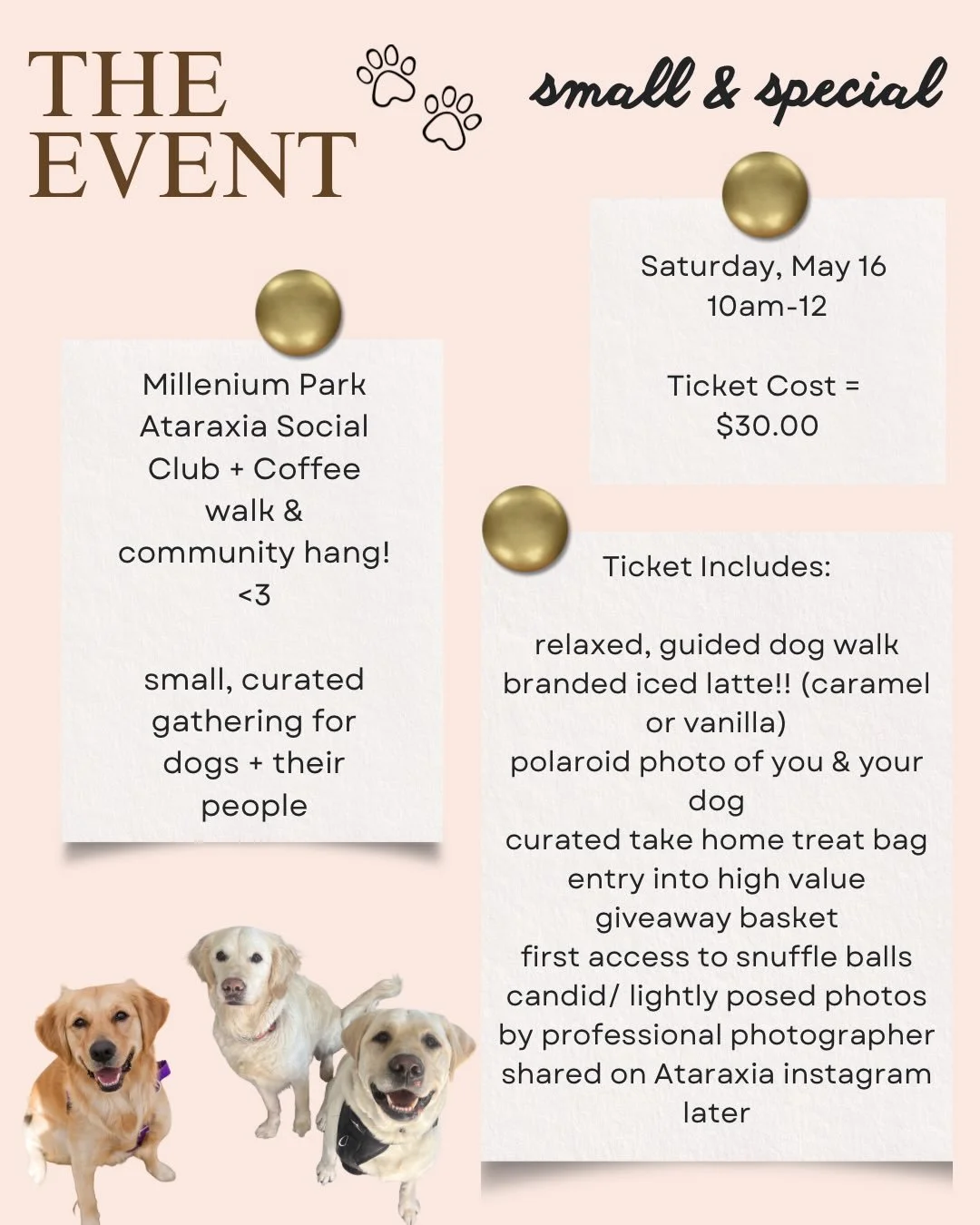 Ataraxia Social Club is OFFICIALLY here!!!! 🤍

I&rsquo;ve been wanting to create something like this for a while&mdash;a slower, more intentional space for you and your dog to connect, not just with us, but with each other.

Think: coffee, open spac