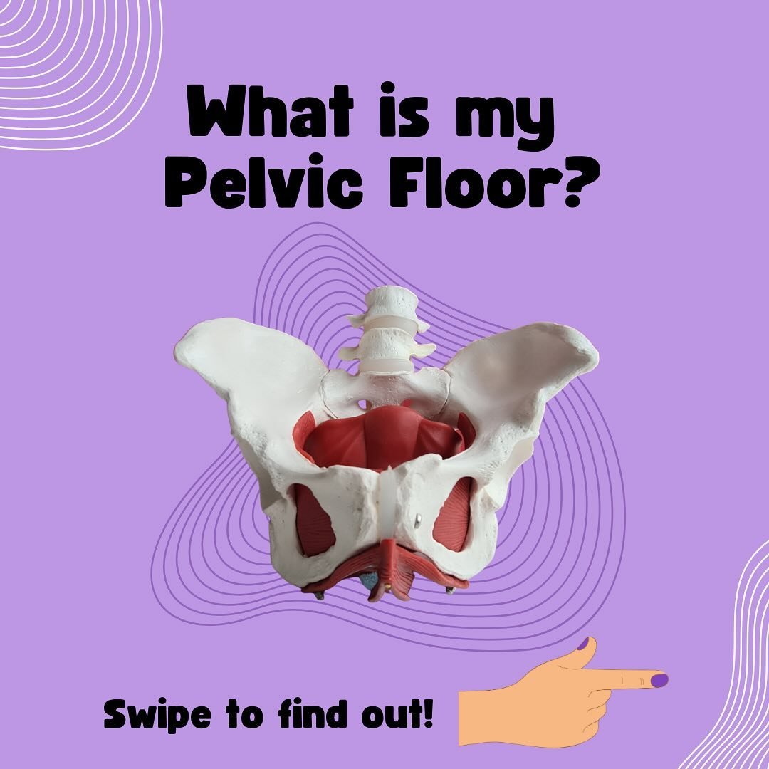 Your pelvic floor muscles are like the hidden heroes of your body, providing support, stability, and control. Whether you&rsquo;re a fitness enthusiast, a new mom, or simply want to enhance your overall wellness, pelvic floor training can be a game-c