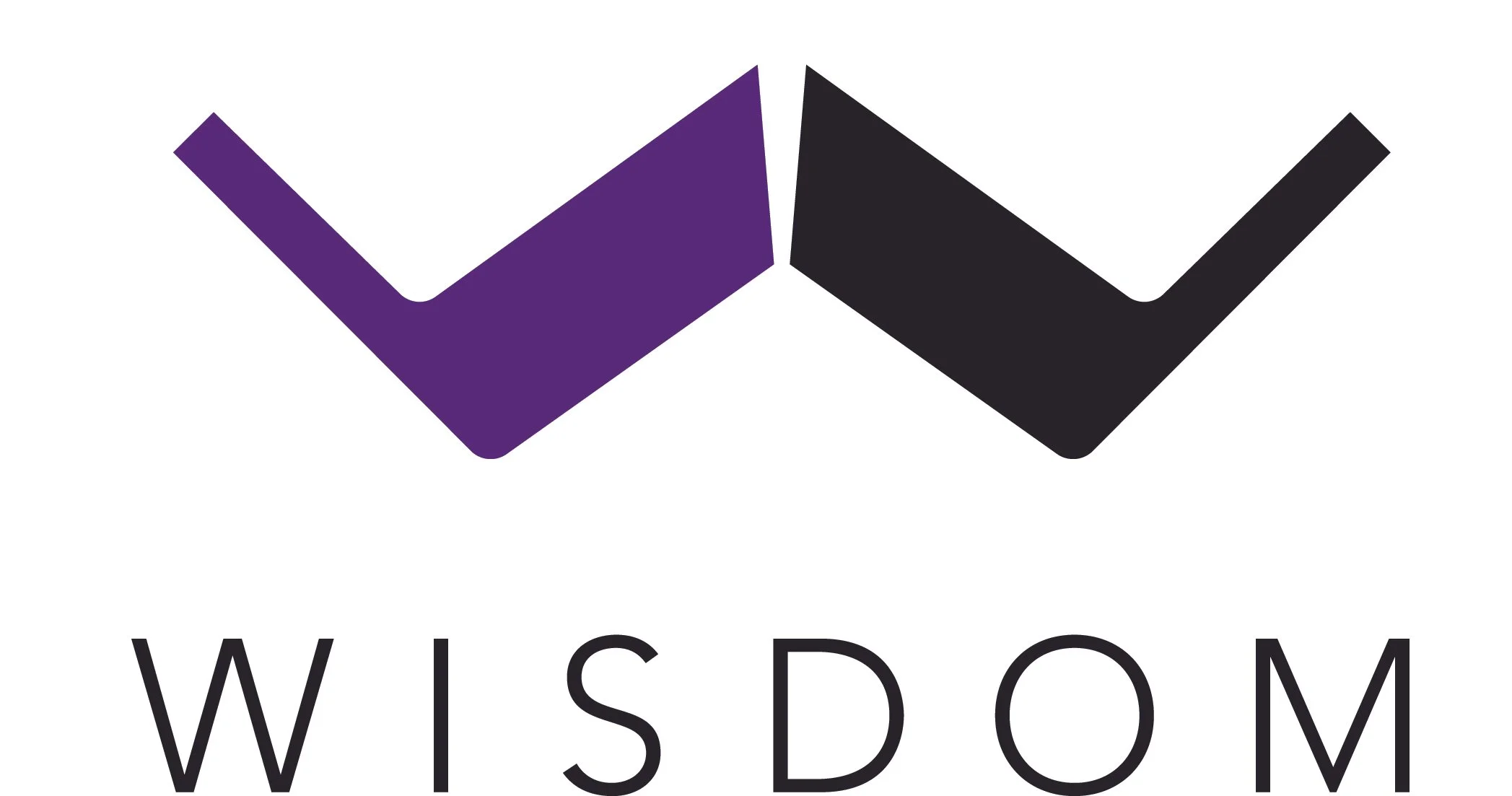 Wisdom Audio