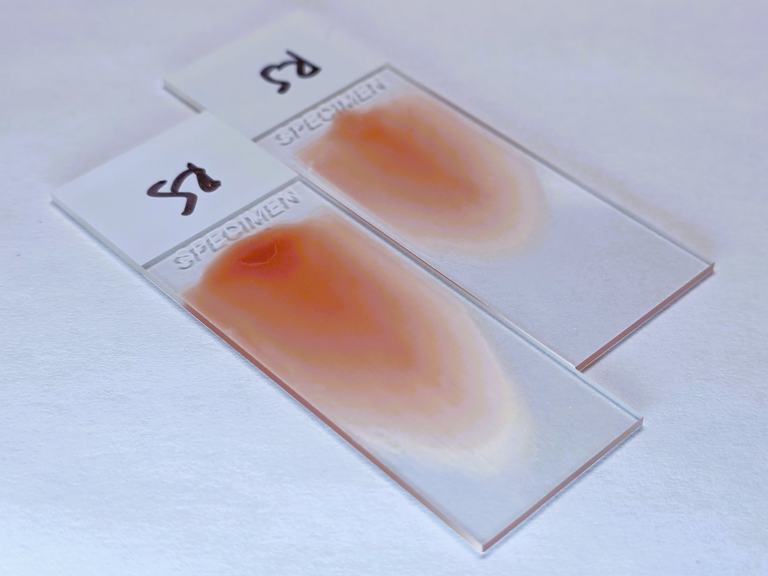 RS x2 Not Stained.jpg