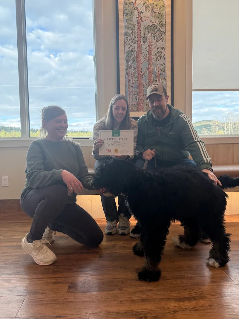 Holistic Puppy Classes in Kimberley and Cranbrook Steeples Vet Clinic