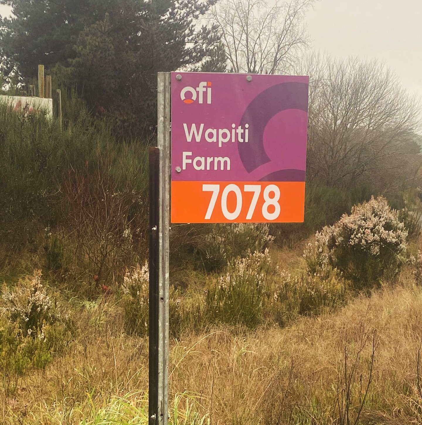 First Wingman OFI herd ✅ 

Had a great day at Wapiti Farm last week with @bronyatizard and her husband Nic working out how we can help them on a challenging forestry conversion farm. 

Love how OFI put the names of their suppliers on their tanker sig