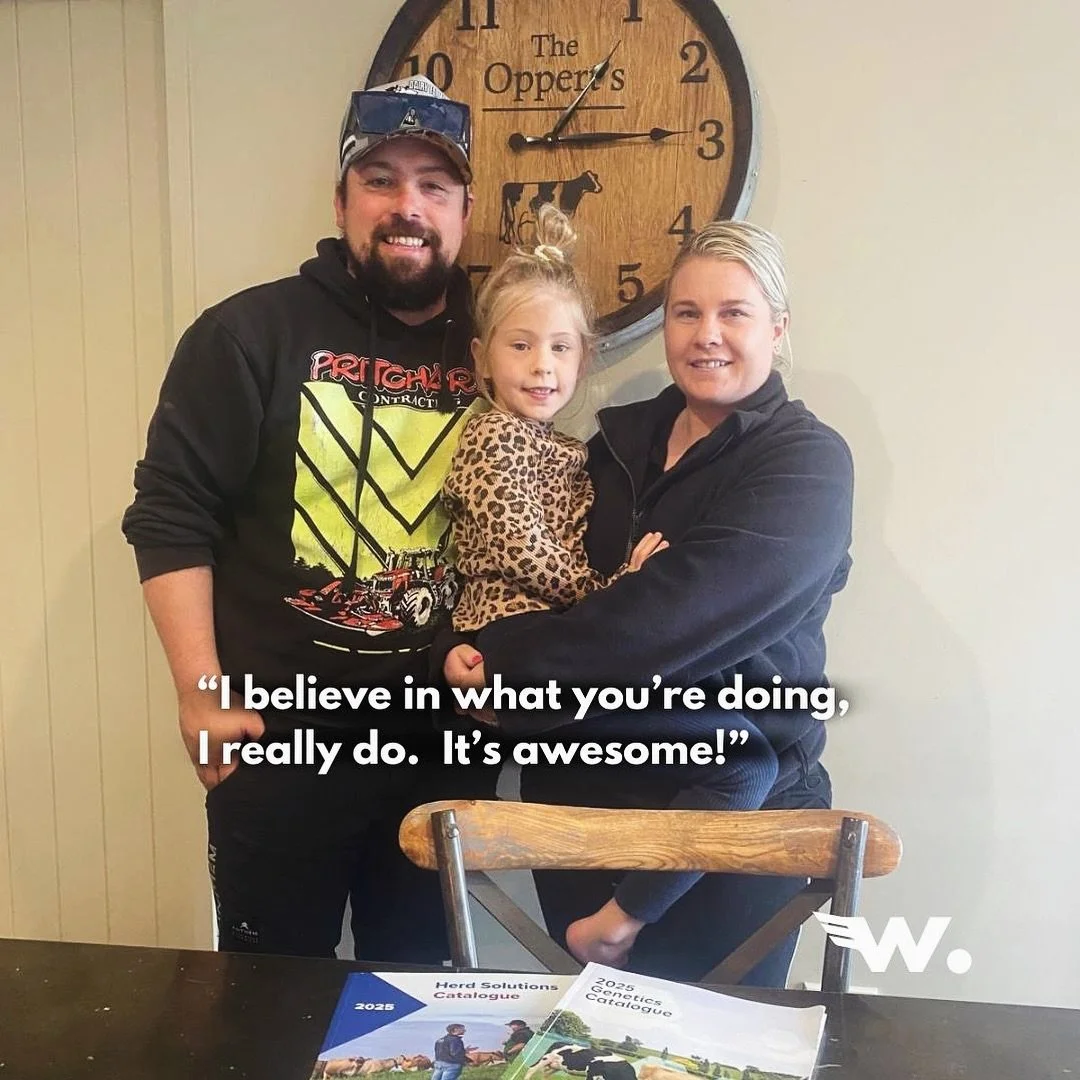 Very lucky to be working with @dairywomensnetwork Milking It 2.0 stars @thefarmerswife_17 and Kevin Oppert to help them build a herd that suits their contour-challenged forestry conversion. 

The weather wasn&rsquo;t the best for cow photos the day I