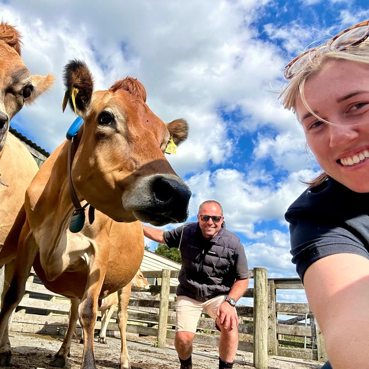 Cow conformation is often overlooked in favour of production traits. It&rsquo;s actually a vital part of creating cows that LAST!  Abby and I have spent the last two days upskilling on the TOP (Traits Other than Production) traits, taking the certifi