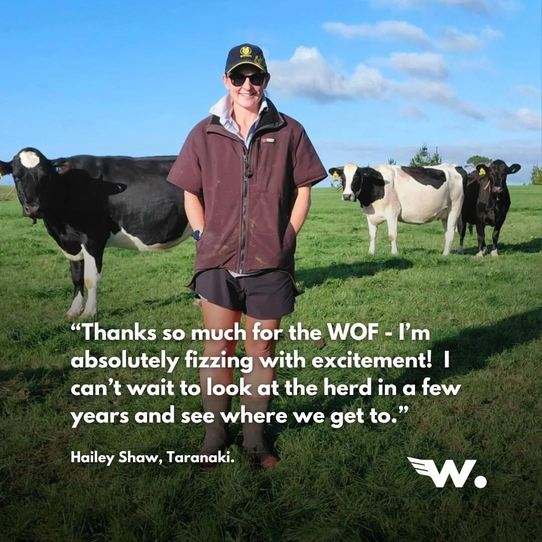 @shaw_hailey rang us after being referred by another farmer. She was looking for someone independent to give the herd a once-over and see where she could make some gains. 

This stuff is our bread and butter! 🍞🧈 

The Wingman WOF is a &lsquo;sanity
