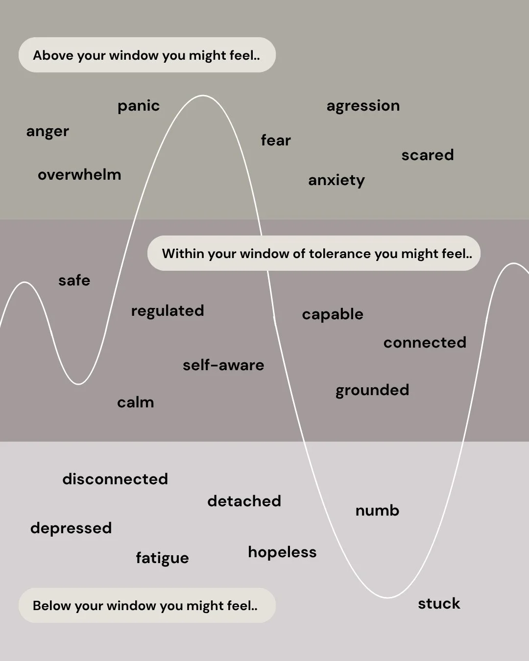 Where are you sitting in your Window?⁠
⁠
Sometimes when we get to this stage in our years it's a good time even as professionals to check in to see where we're at with our Window of Tolerance. ⁠
⁠
Most people may be familiar with this by now but Dr. 