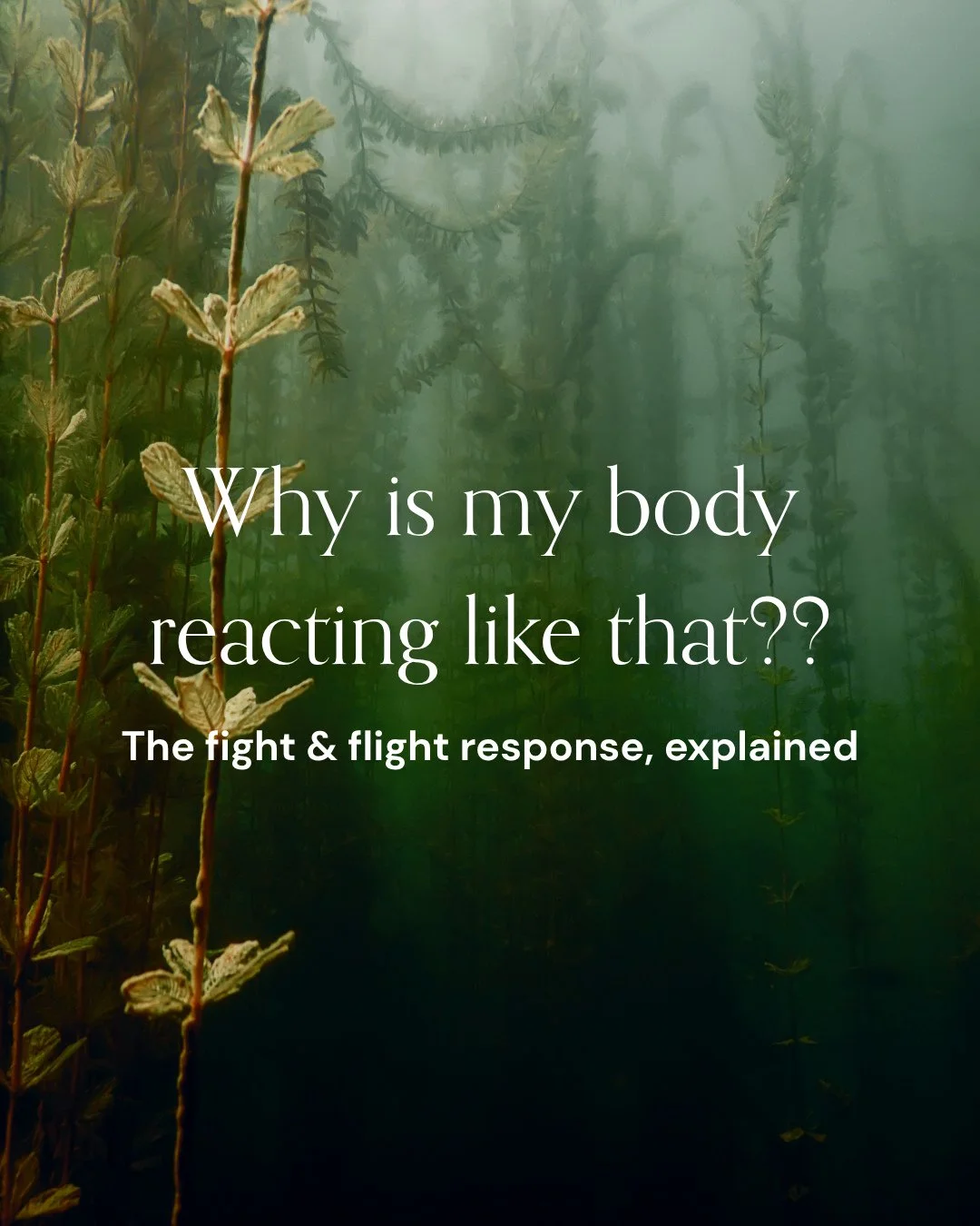 If your fight or flight response has ever left you frustrated with yourself, that's a really common experience.⁠
⁠
Logically, most people know it's a survival response. But in the moment, it doesn't feel logical.⁠
⁠
When your body acts without you li