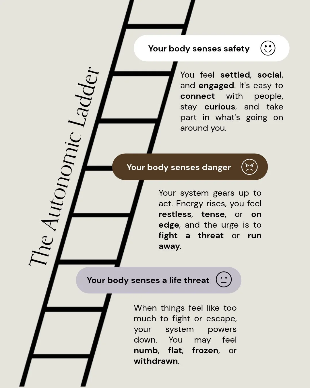 Along with the Window of Tolerance, the Autonomic Ladder is another resource I love that helps people understand not only the different &lsquo;zones&rsquo; our nervous system can move through but how we flow between them.⁠
⁠
From the top down, we sta