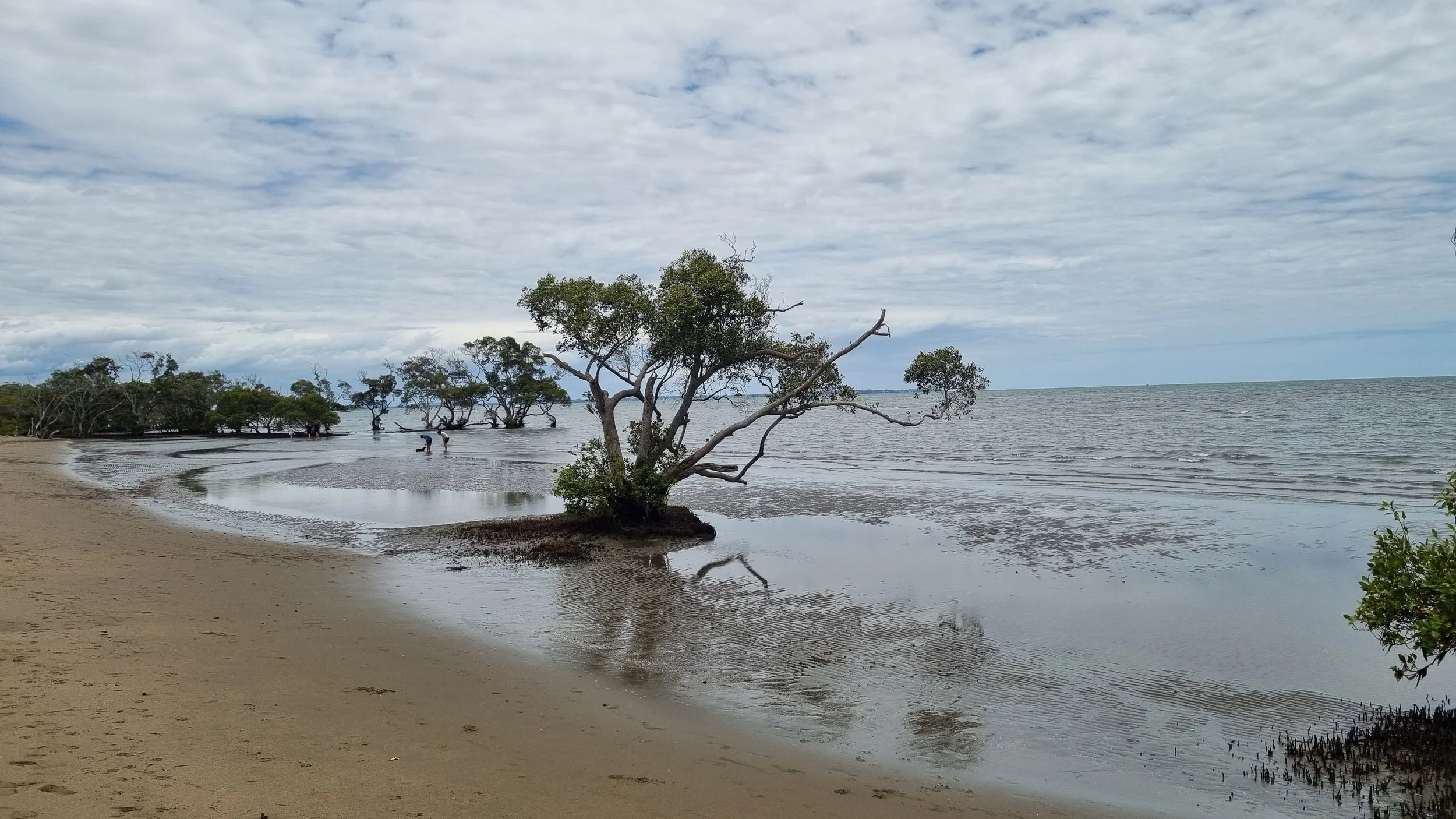Flood Smart Engineering Brisbane Nudge Sand Mangrovese Beach
