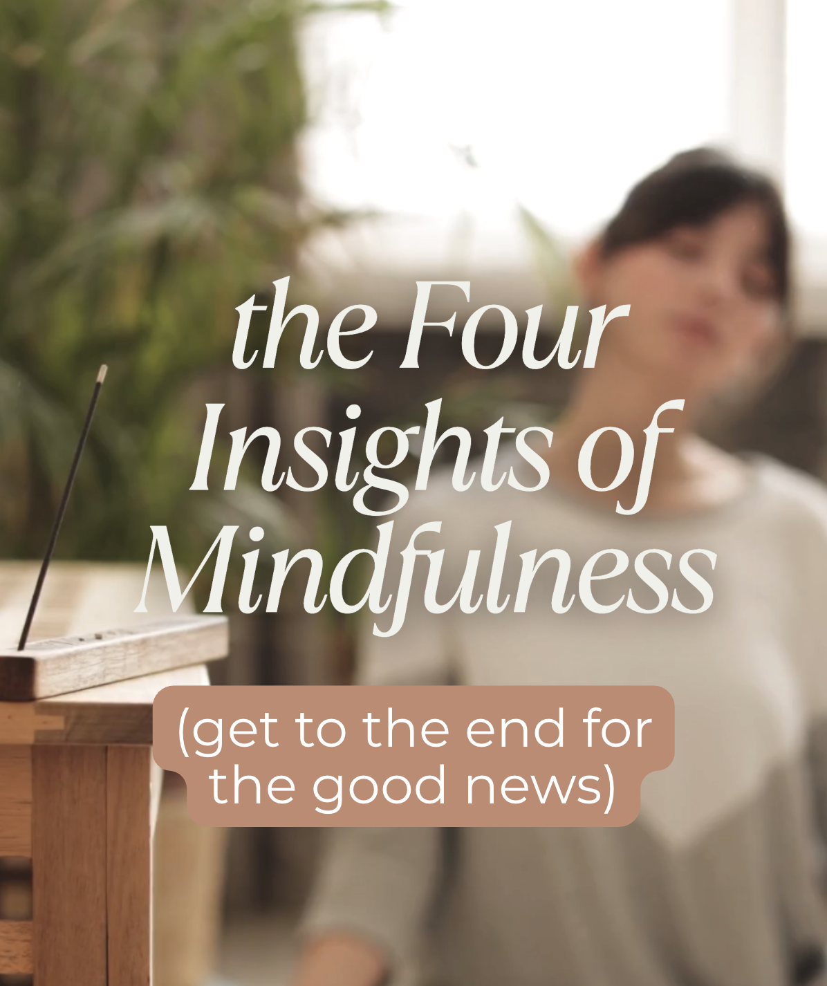 The Four Insights of Mindfulness