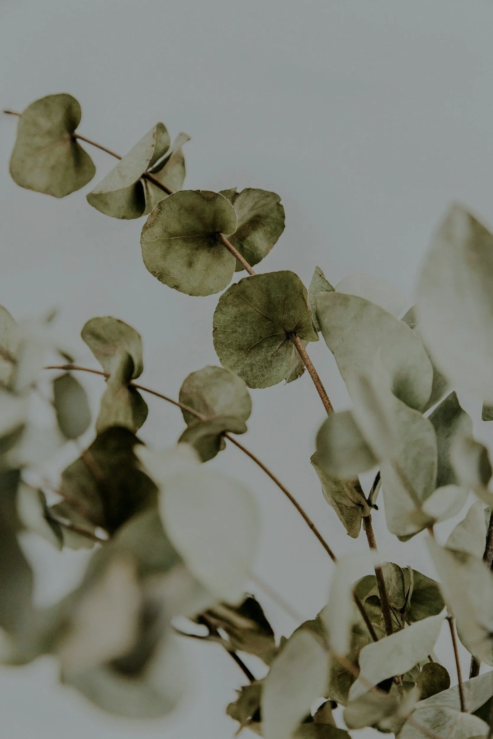 natural fabric and close-up of textiles
