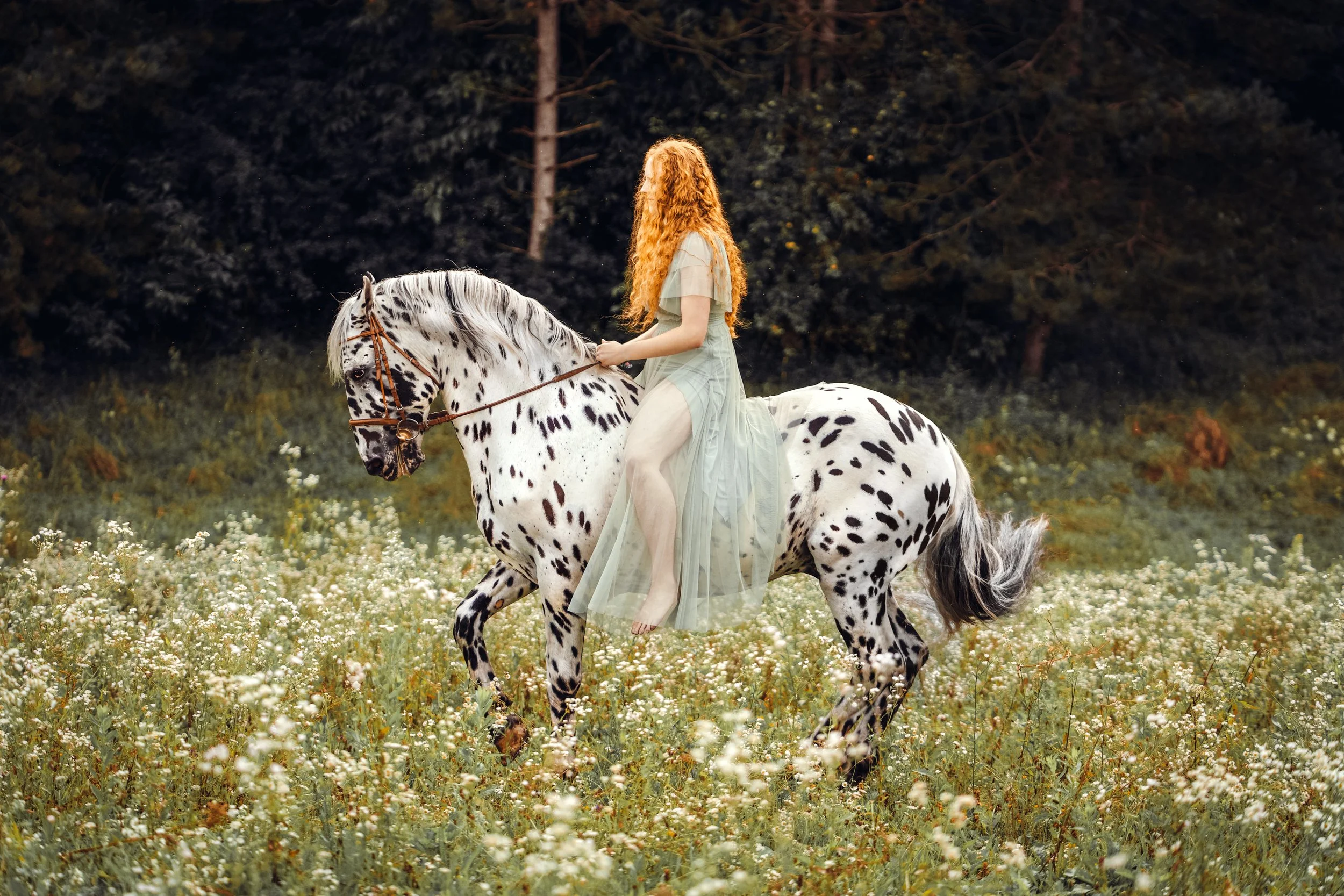 DSC08978-Edit Kopie.jpg