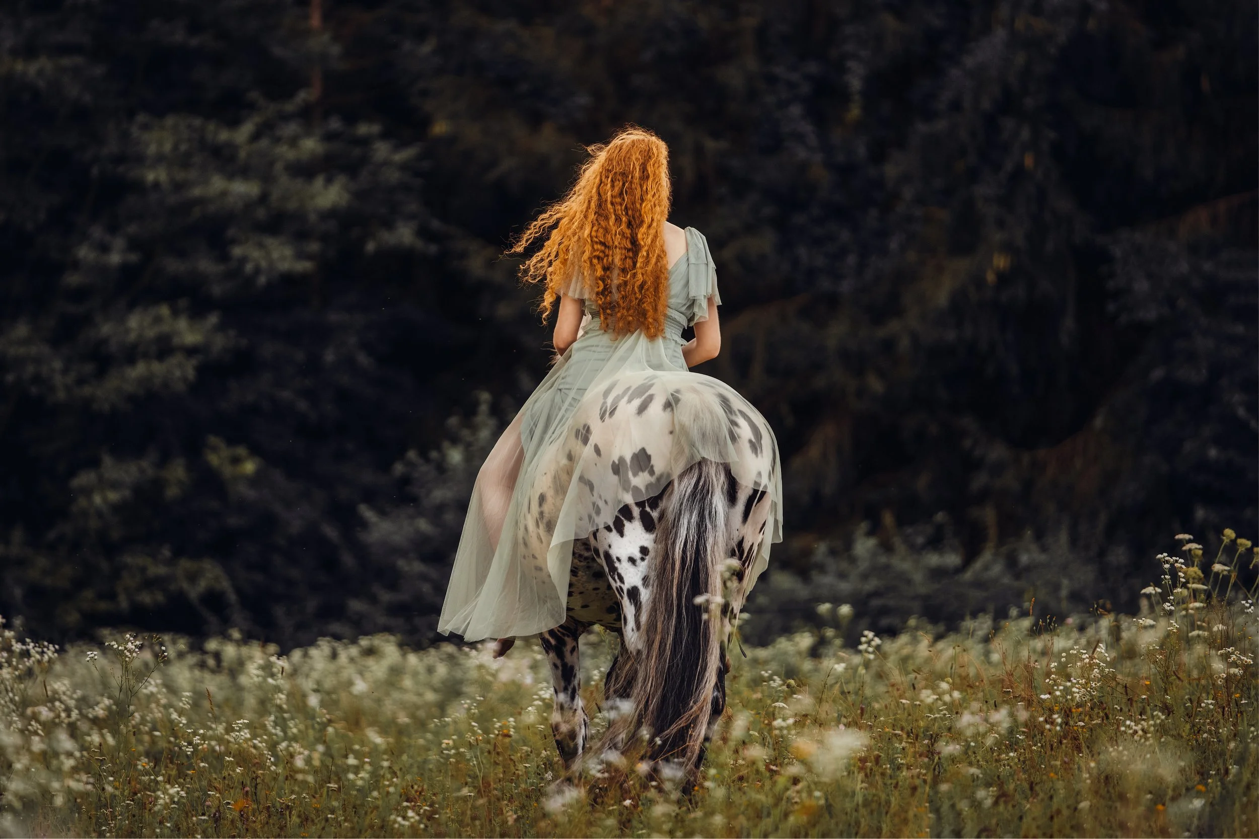 DSC08801-Edit Kopie.jpg