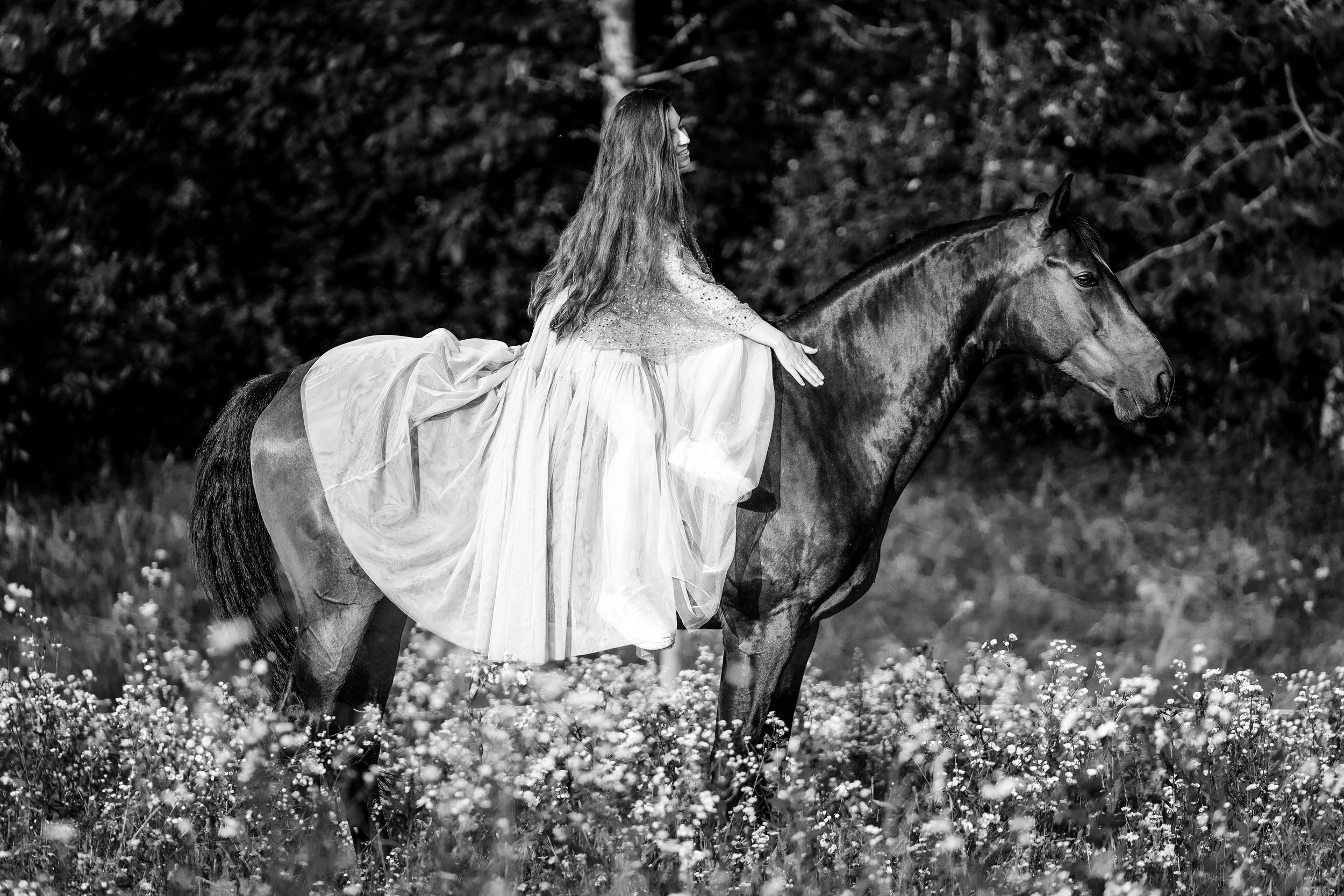 DSC08164-Edit s_w.jpg