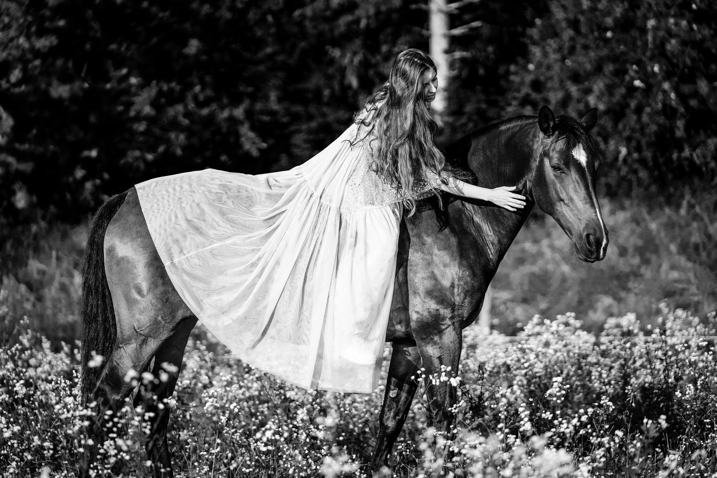 DSC08065-Edit s_w.jpg