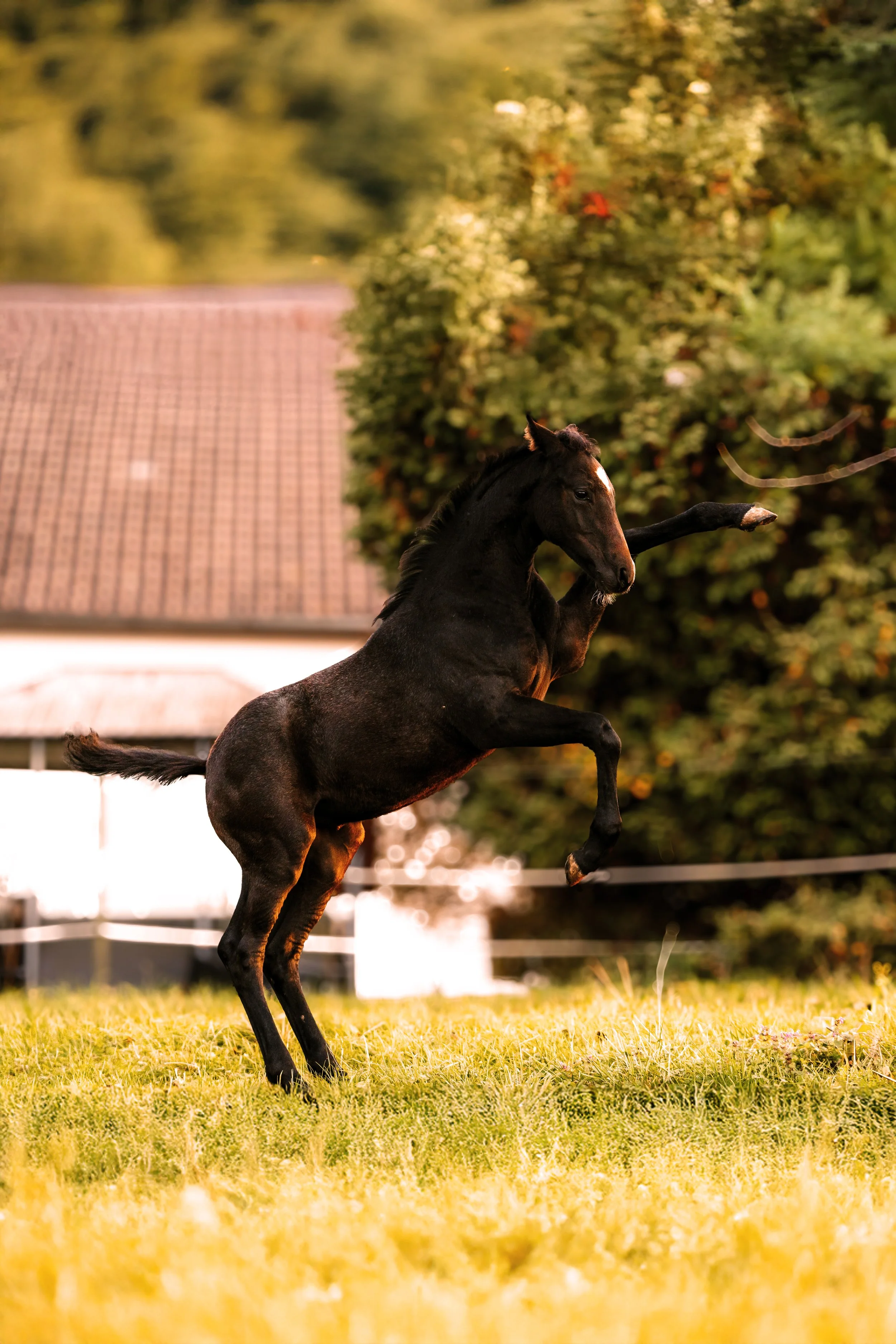 DSC06435-Edit Kopie 2.jpg