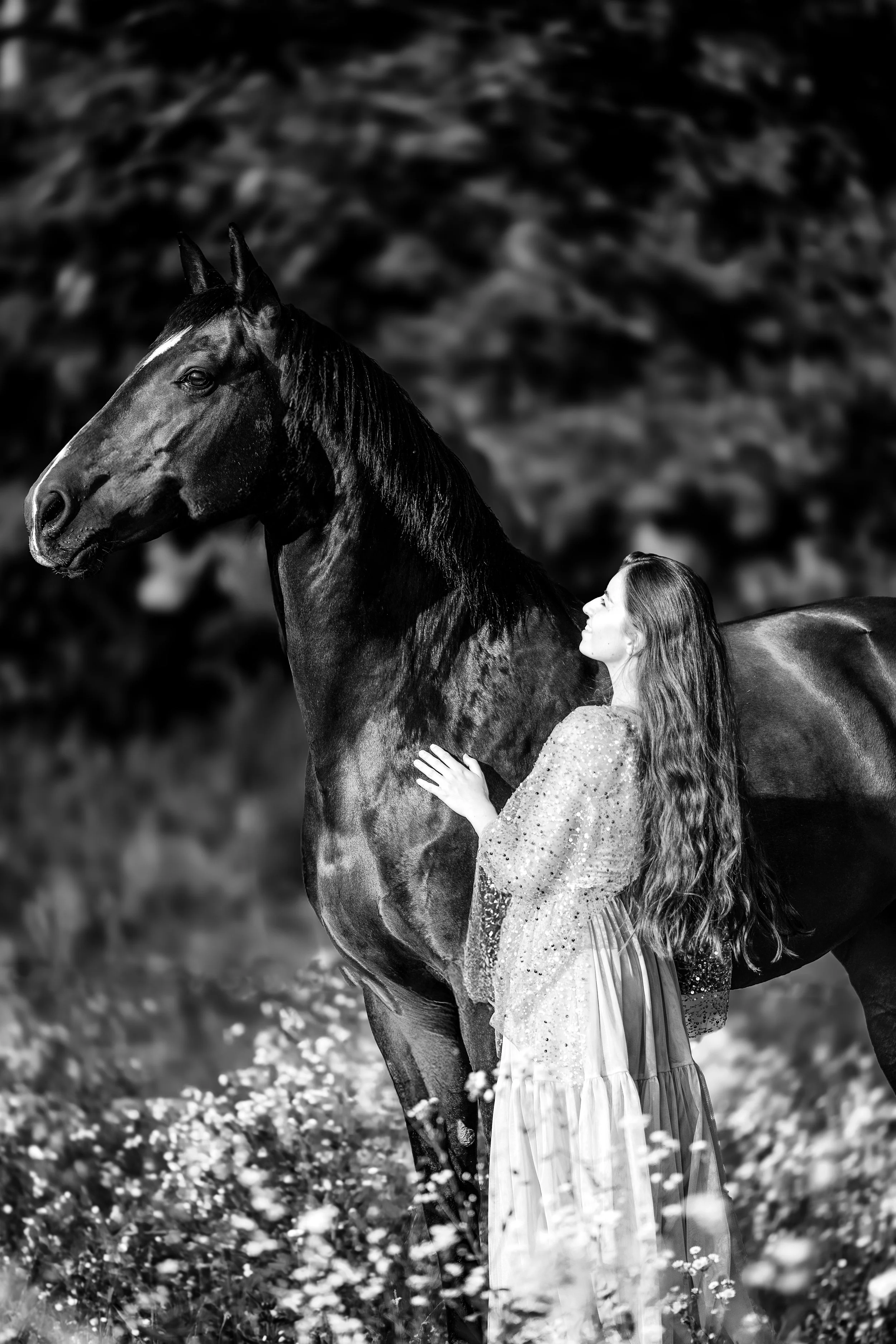 DSC07934-Edit s_w.jpg