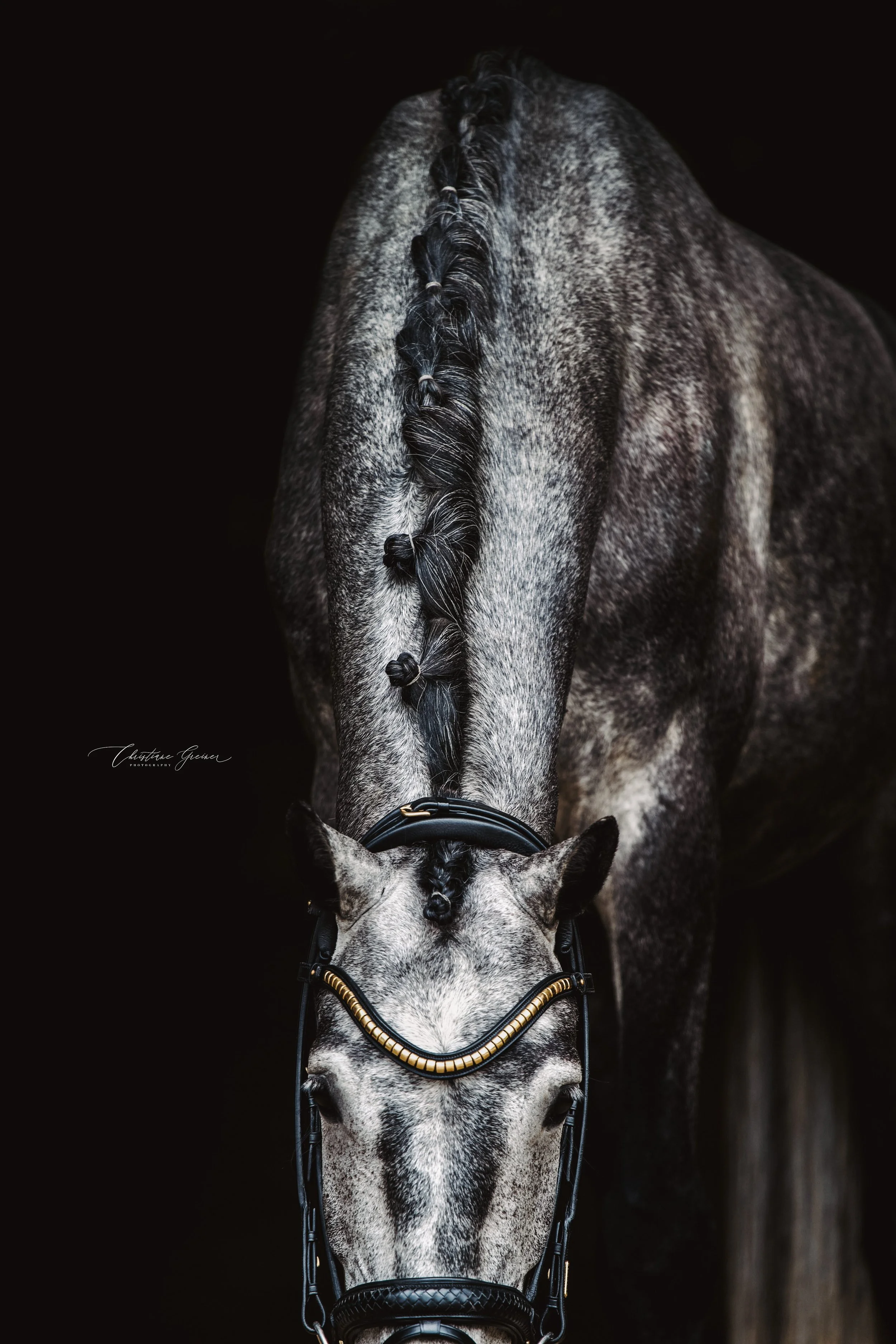 DSC07744-Edit Kopie.jpg