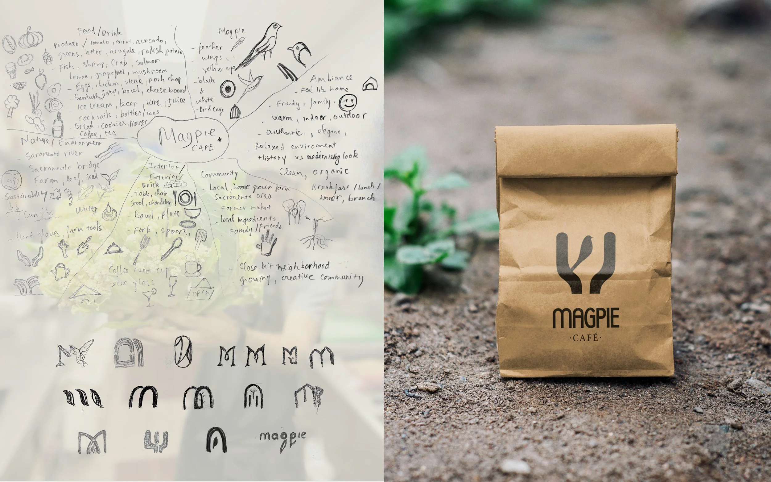 magpie web porfolio3.jpg