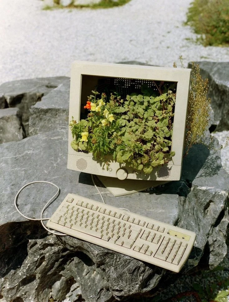 PLAYING OUTSIDE OF THE SCROLL
