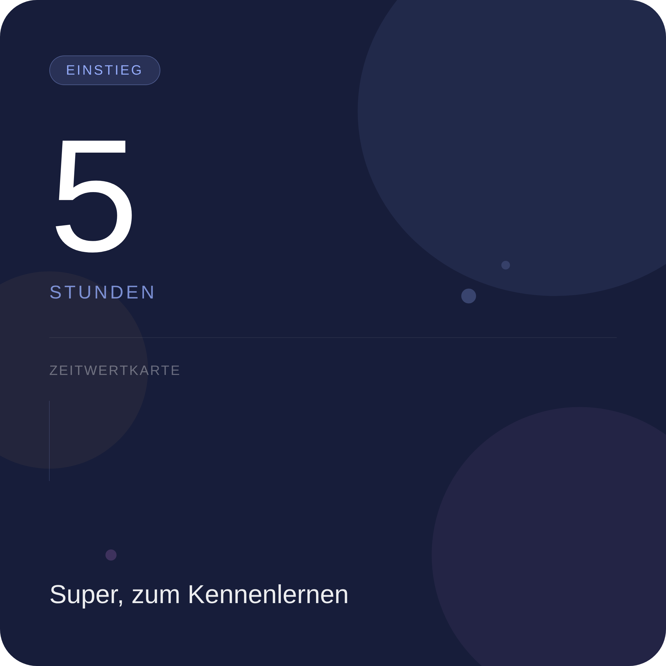 5 Stunden Zeitkarte