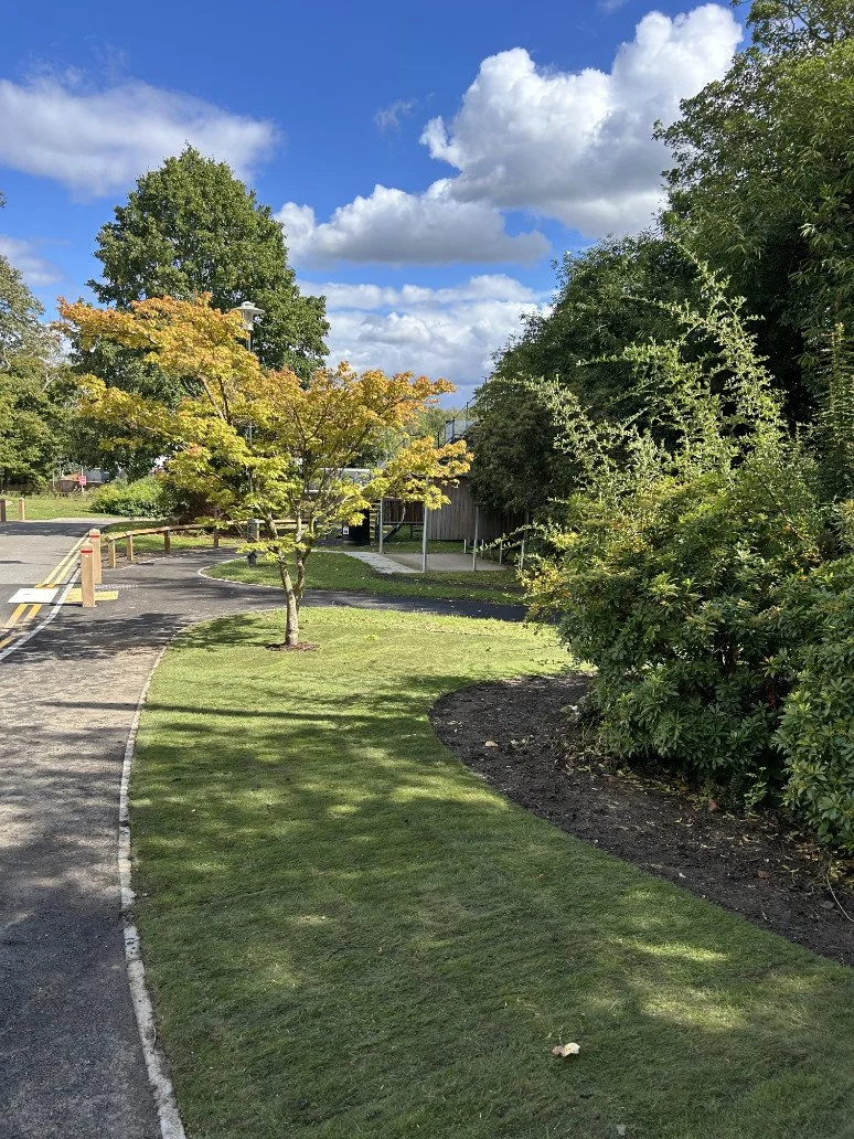 Turfing campus