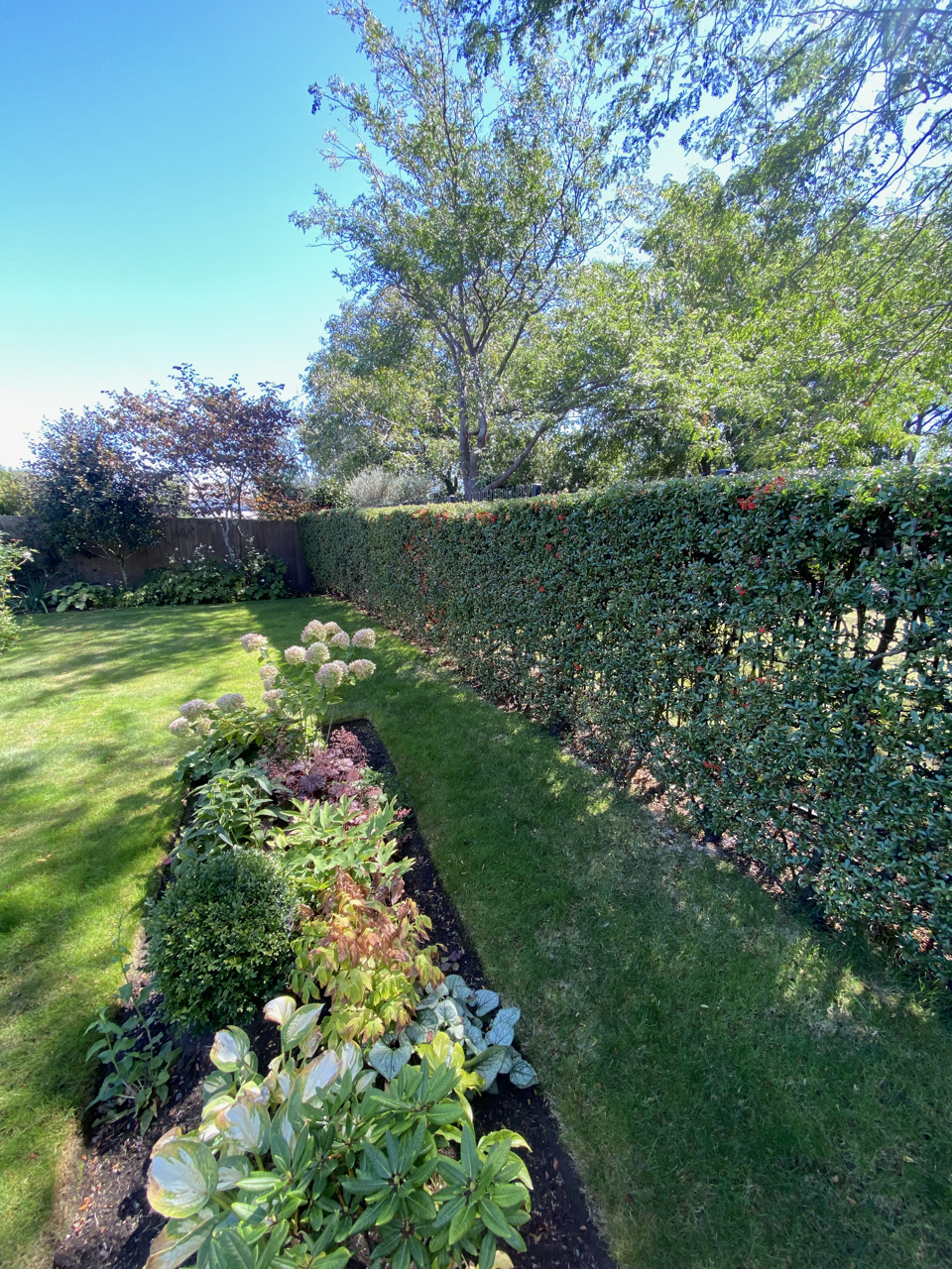 IMG_0889 copy Large.png