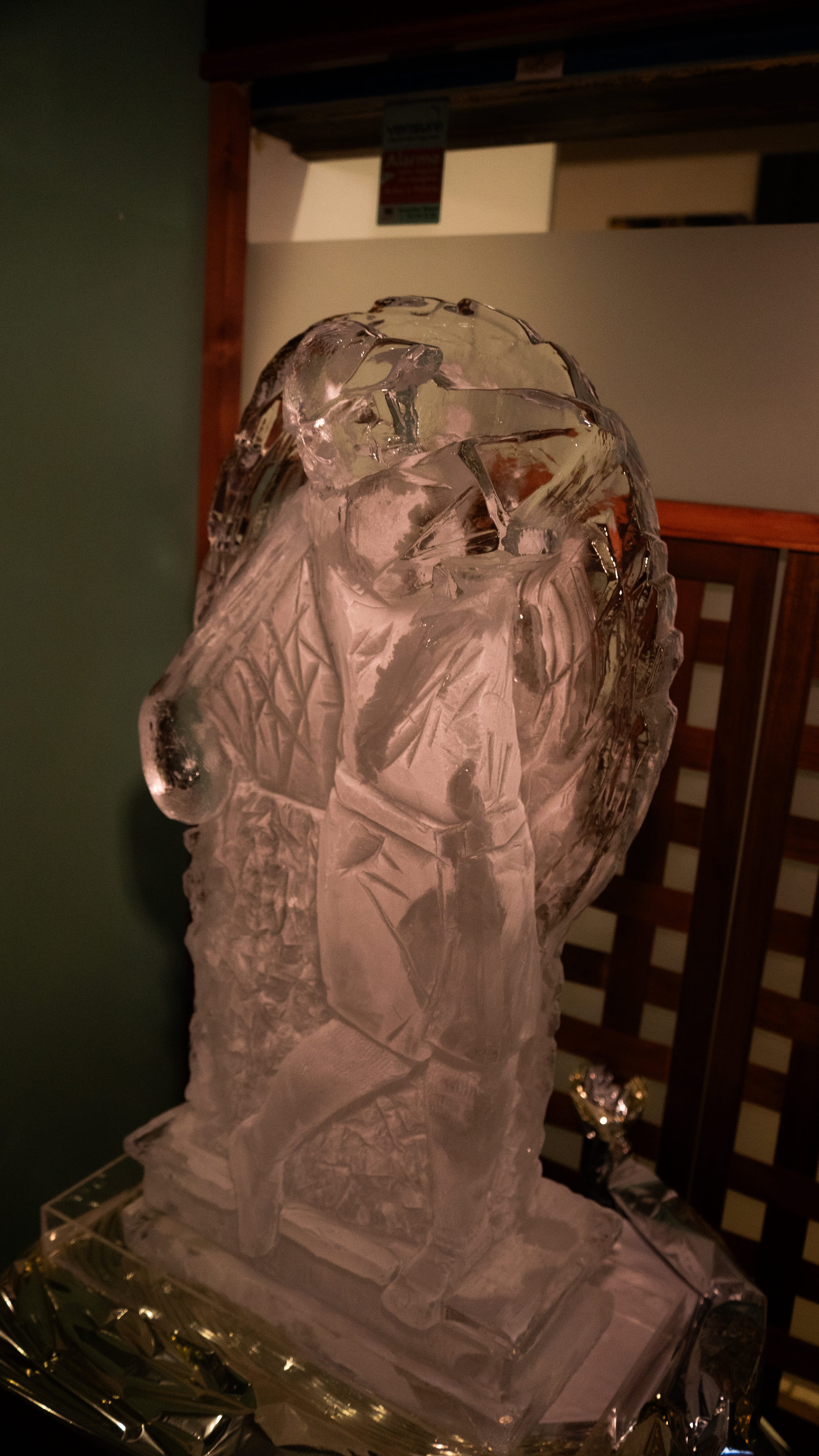 DSC00986.jpg