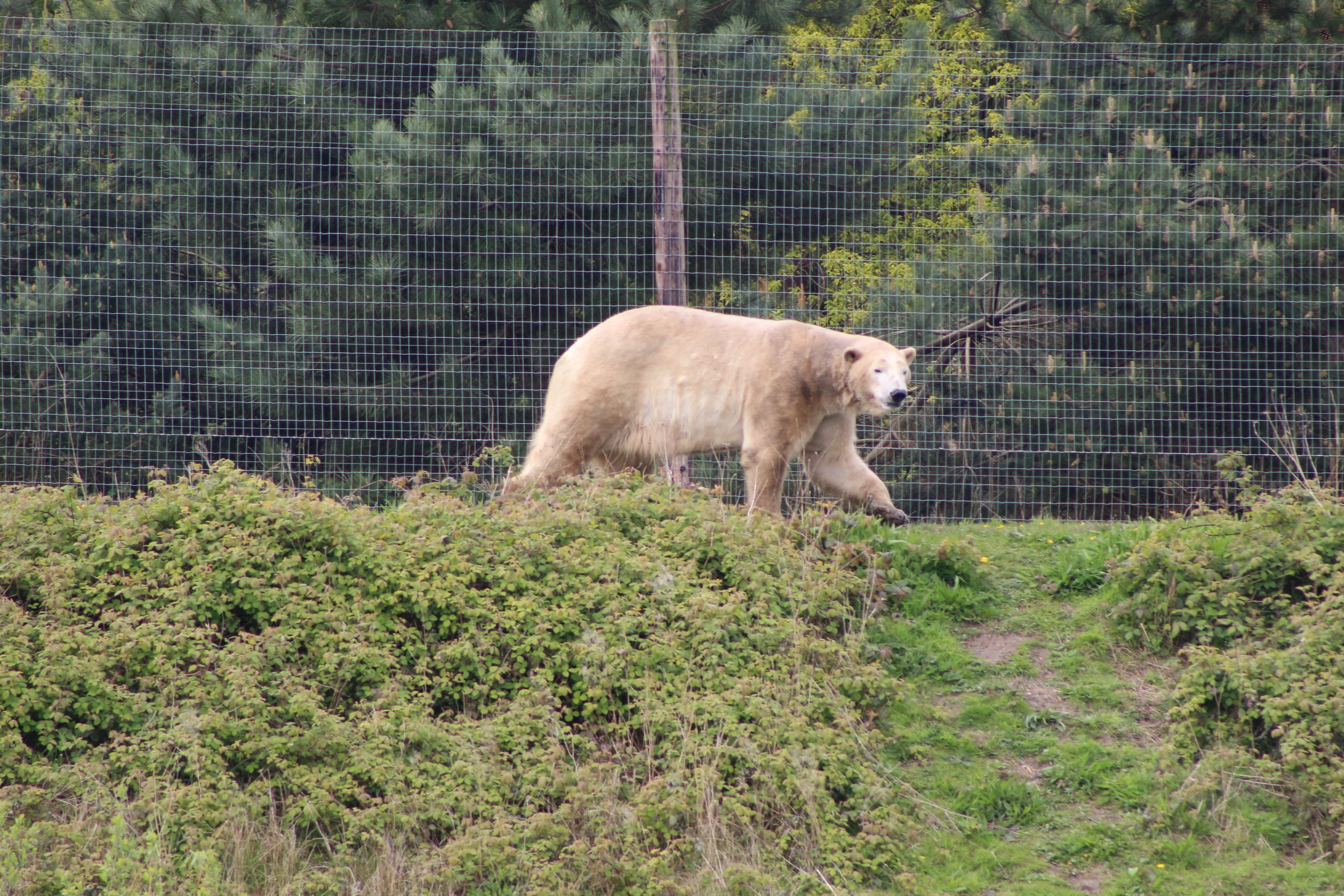 IMG_6841.JPG