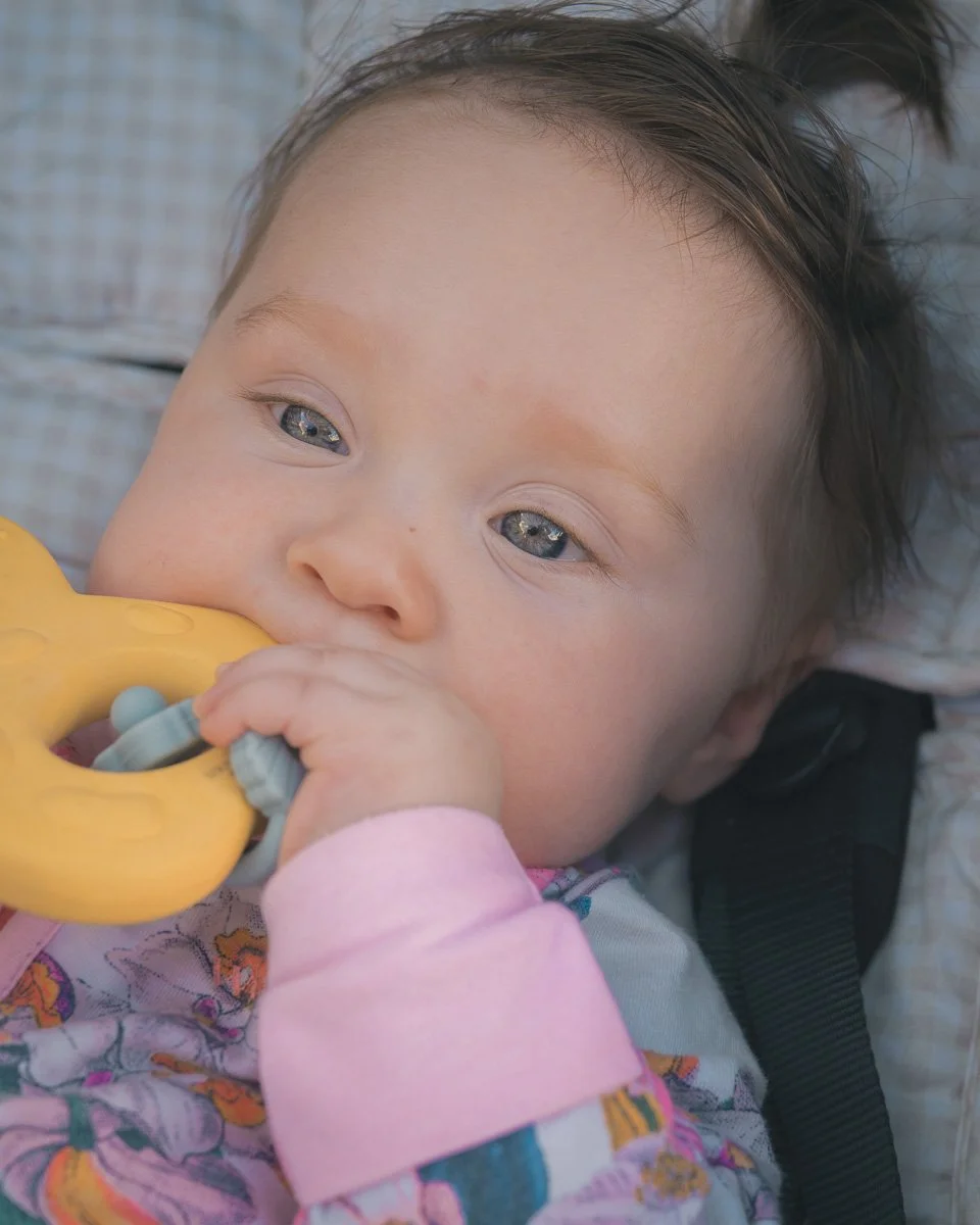 Zari-0173.jpg