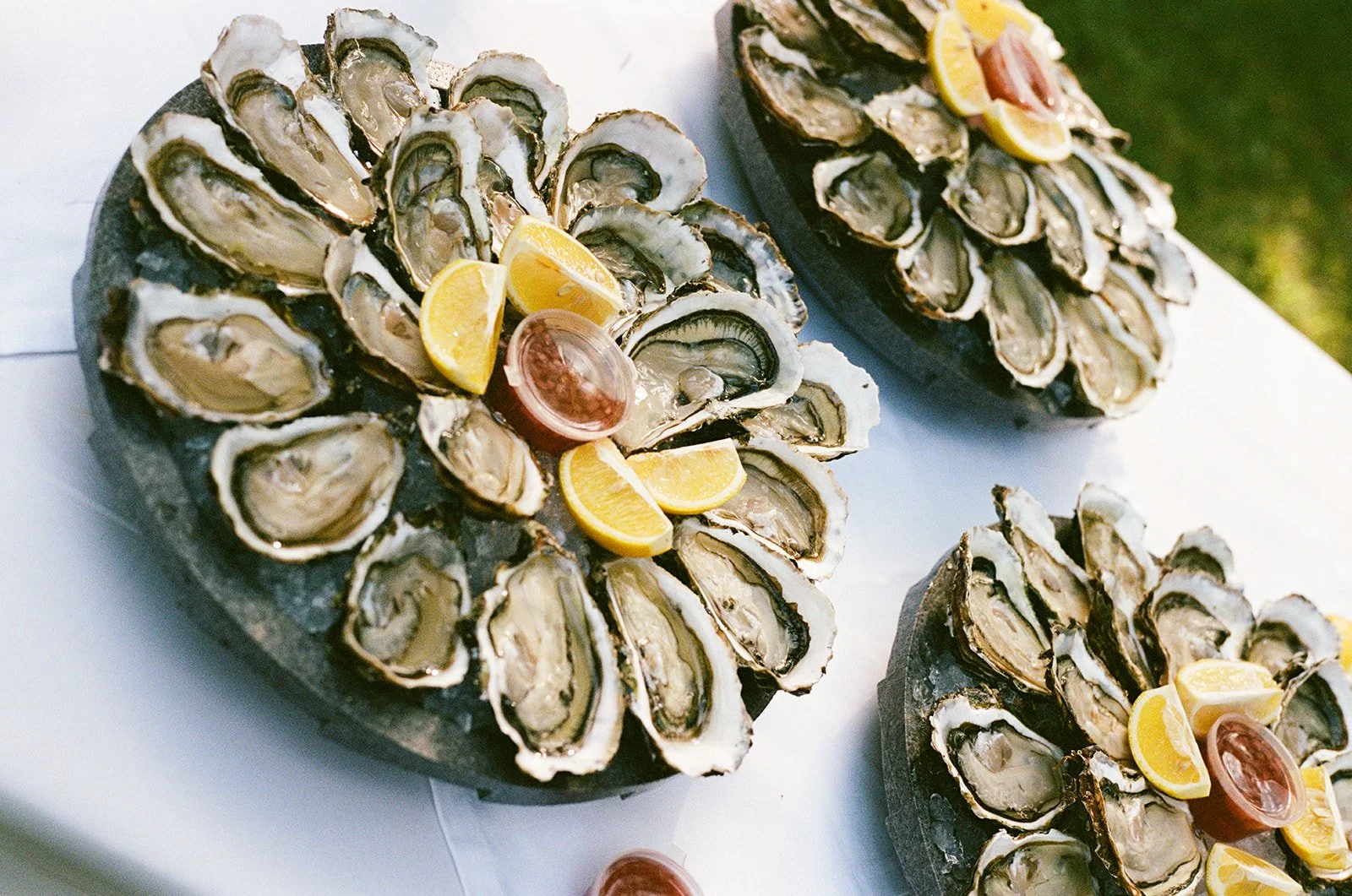 Olivia & Matt-23.00001_websize.jpg