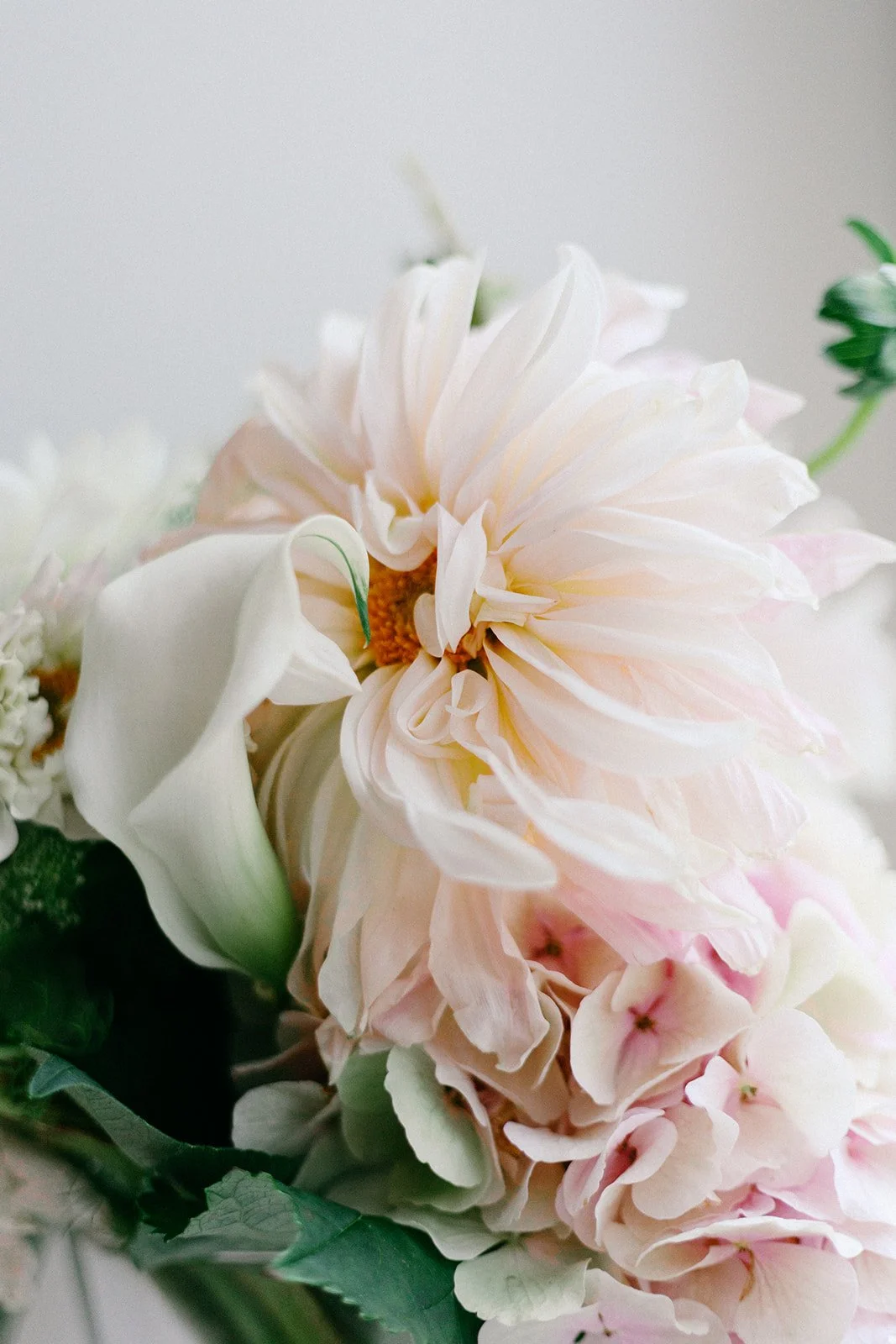 Olivia & Matt-61_websize.jpg