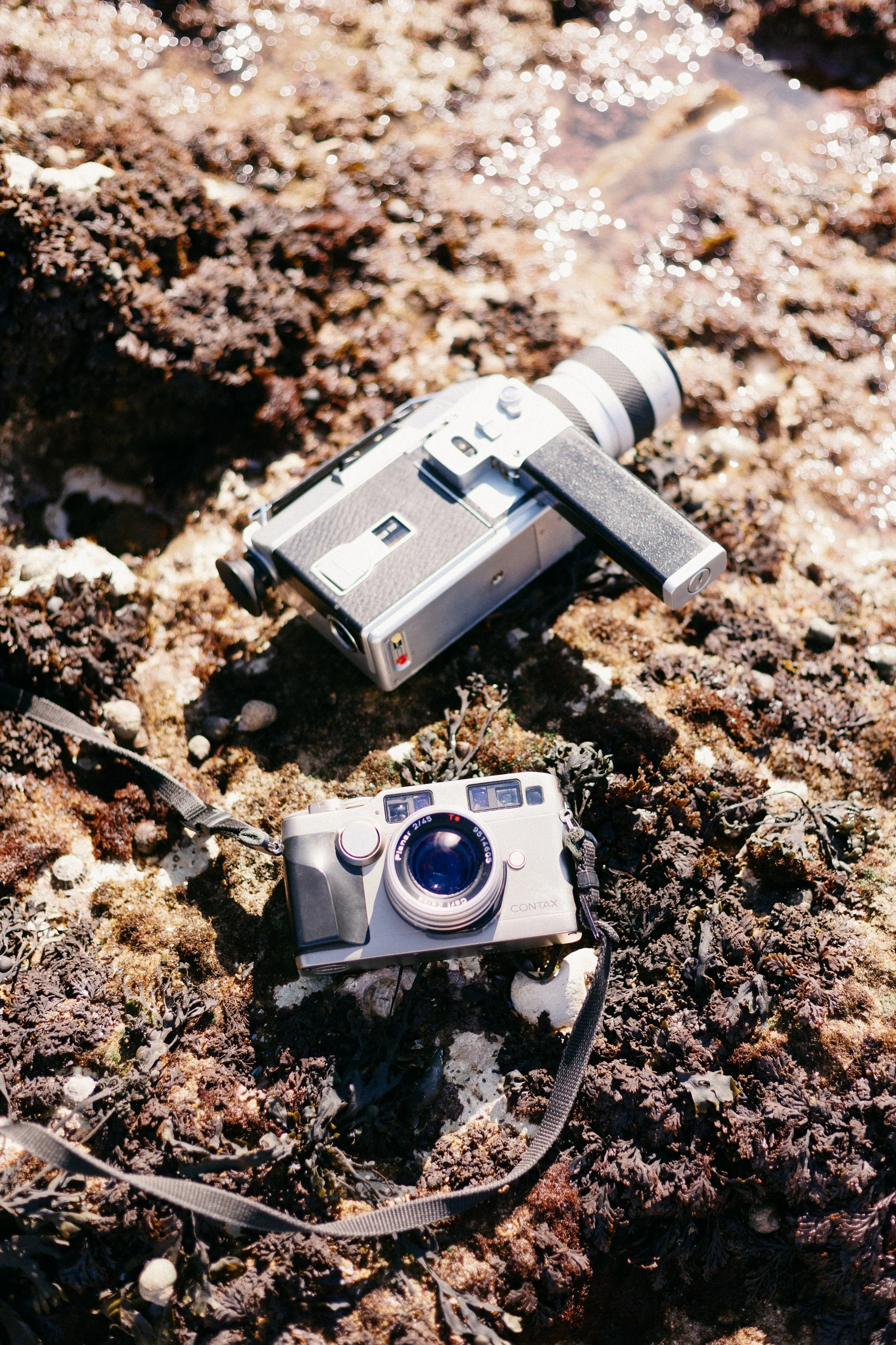 Destination Wedding Photographer