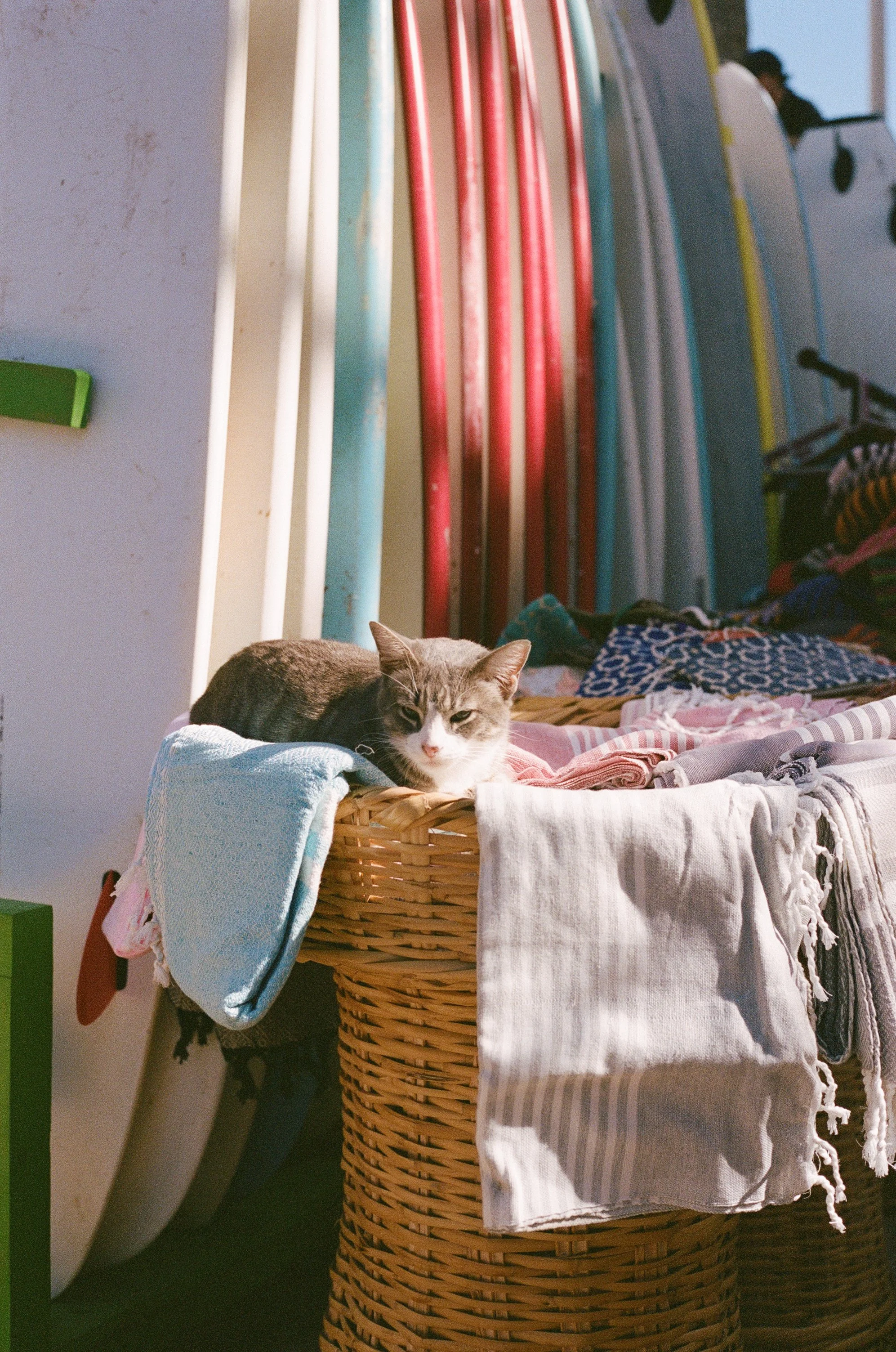 Morocco Destination Wedding Photographer