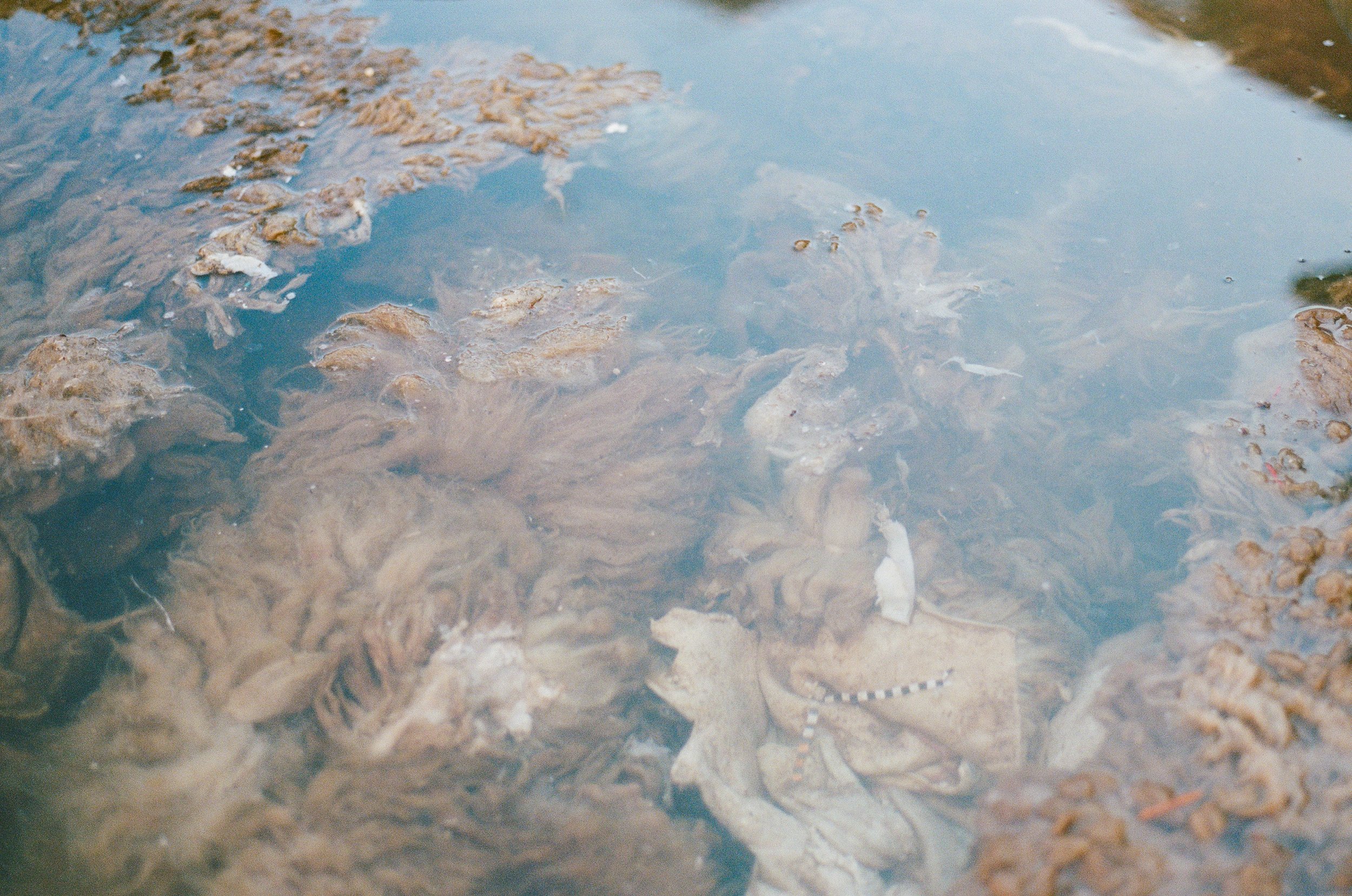 Morocco Destination Wedding Photographer