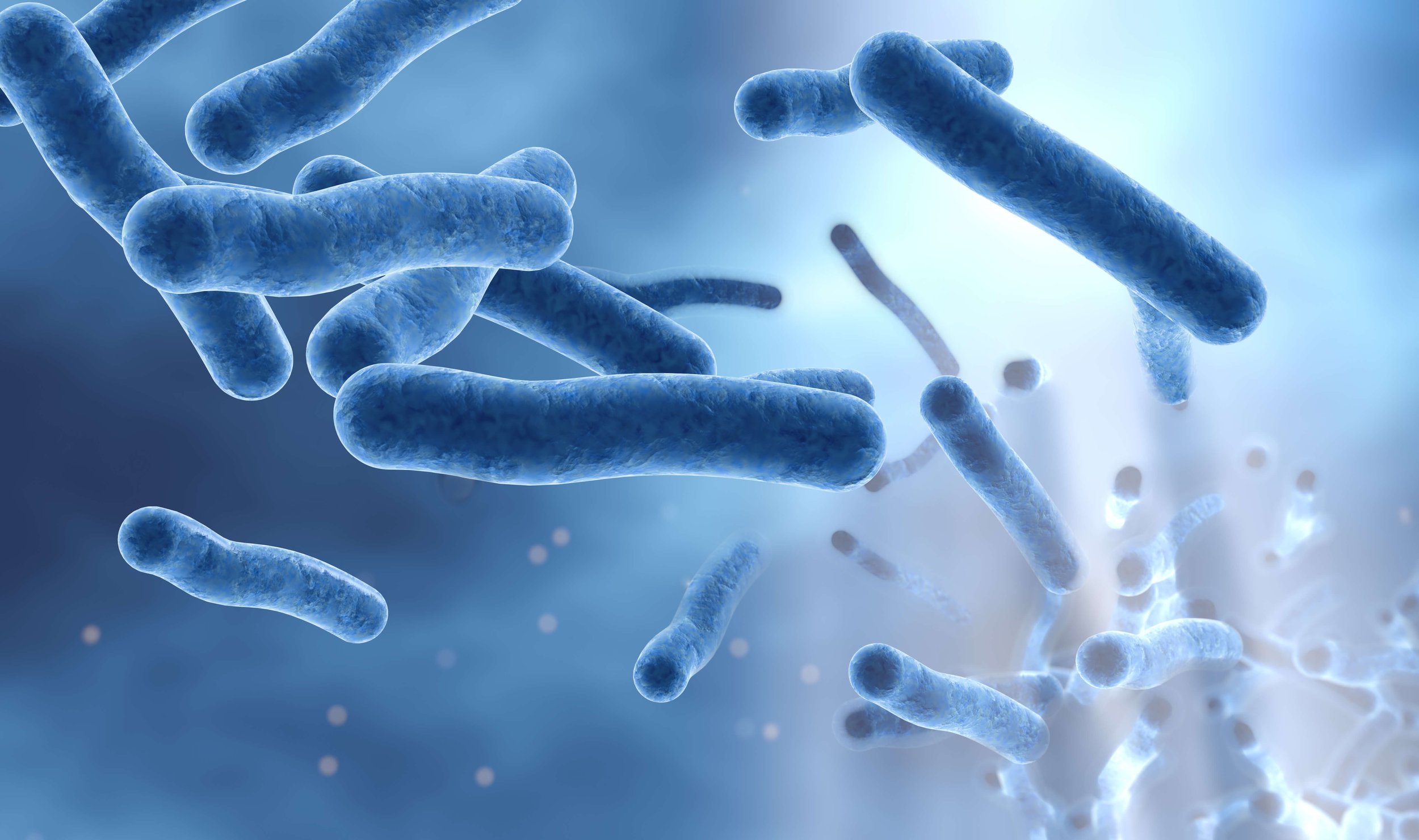 an image depicted bacteria and viruses in water.