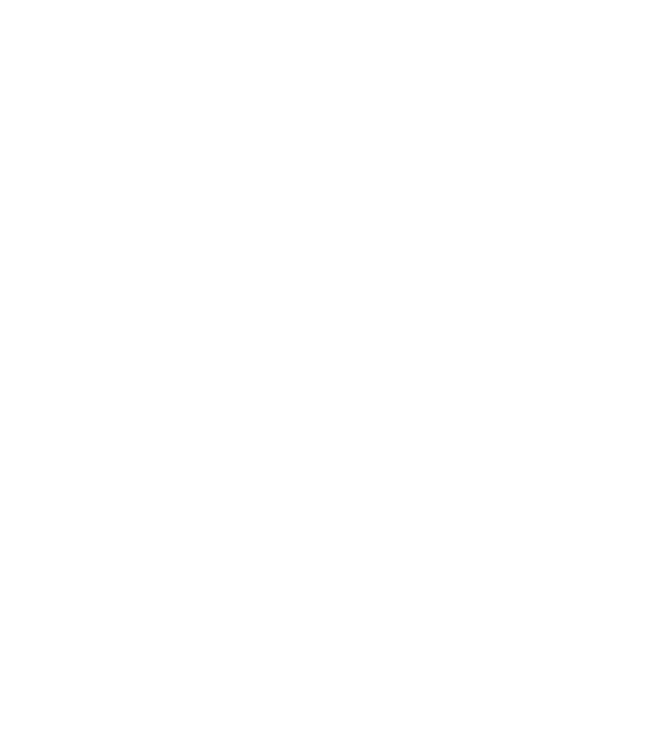 Bel Merch