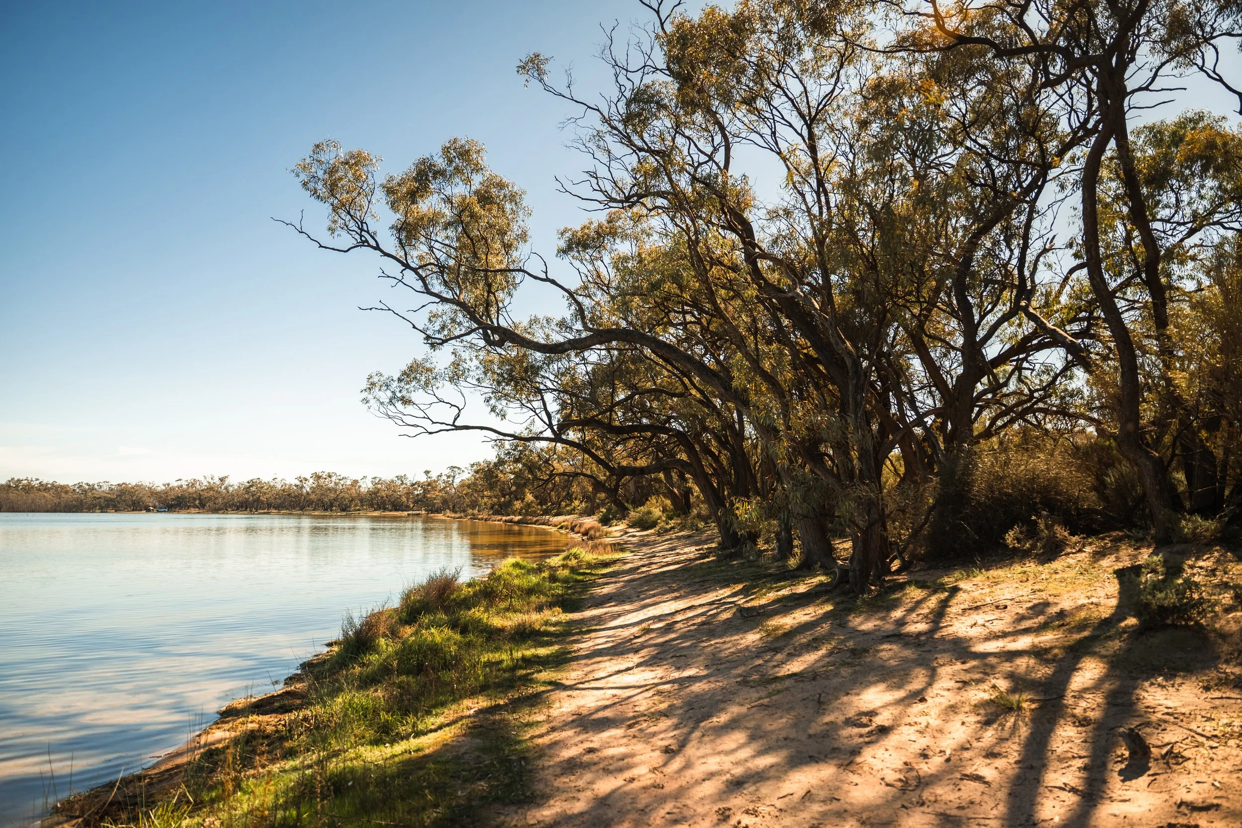 Green Lake near Sea Lake, Victoria, with calm water and native gum trees lining the shoreline in warm afternoon light.