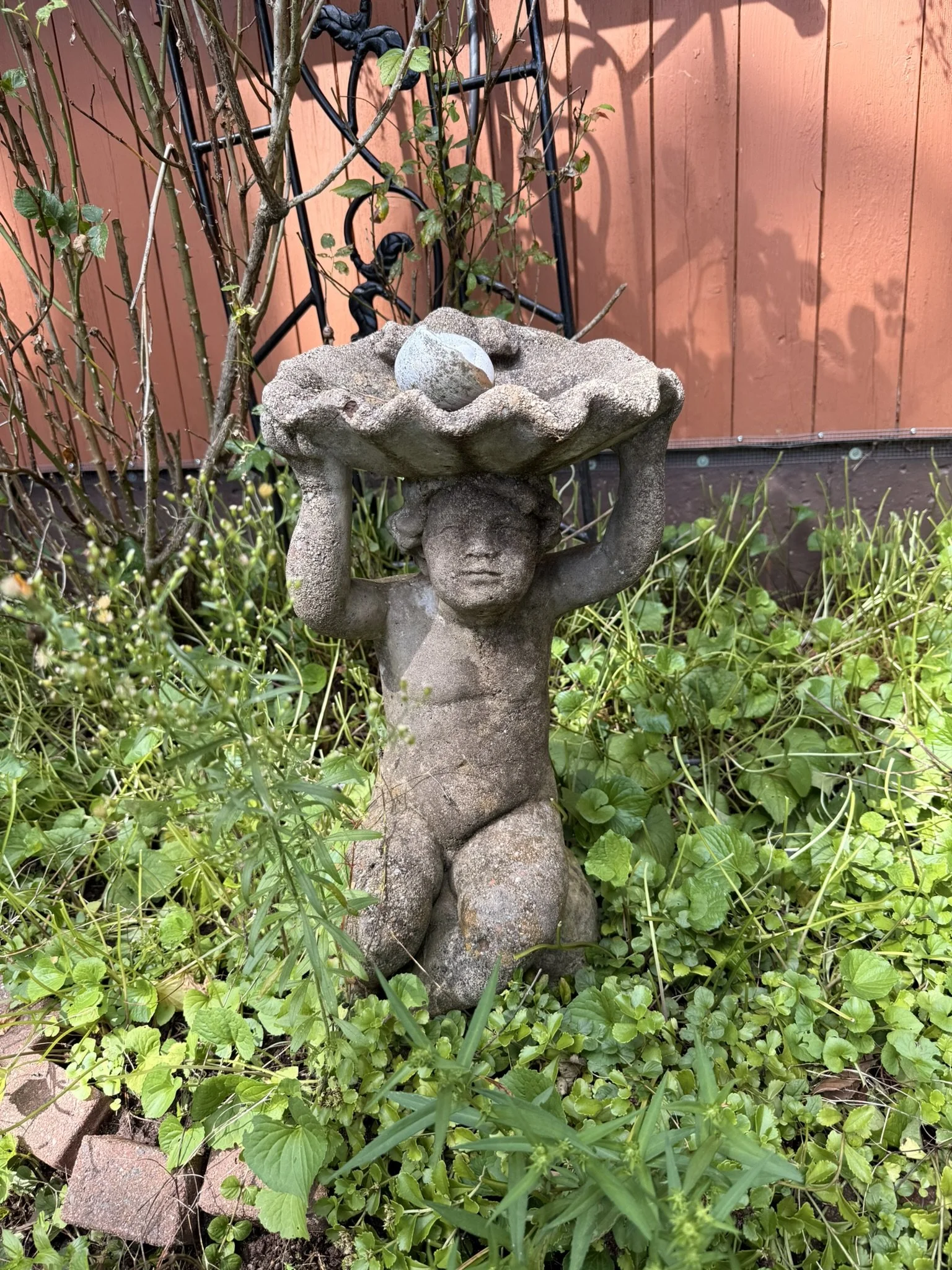IMG_6962.JPEG