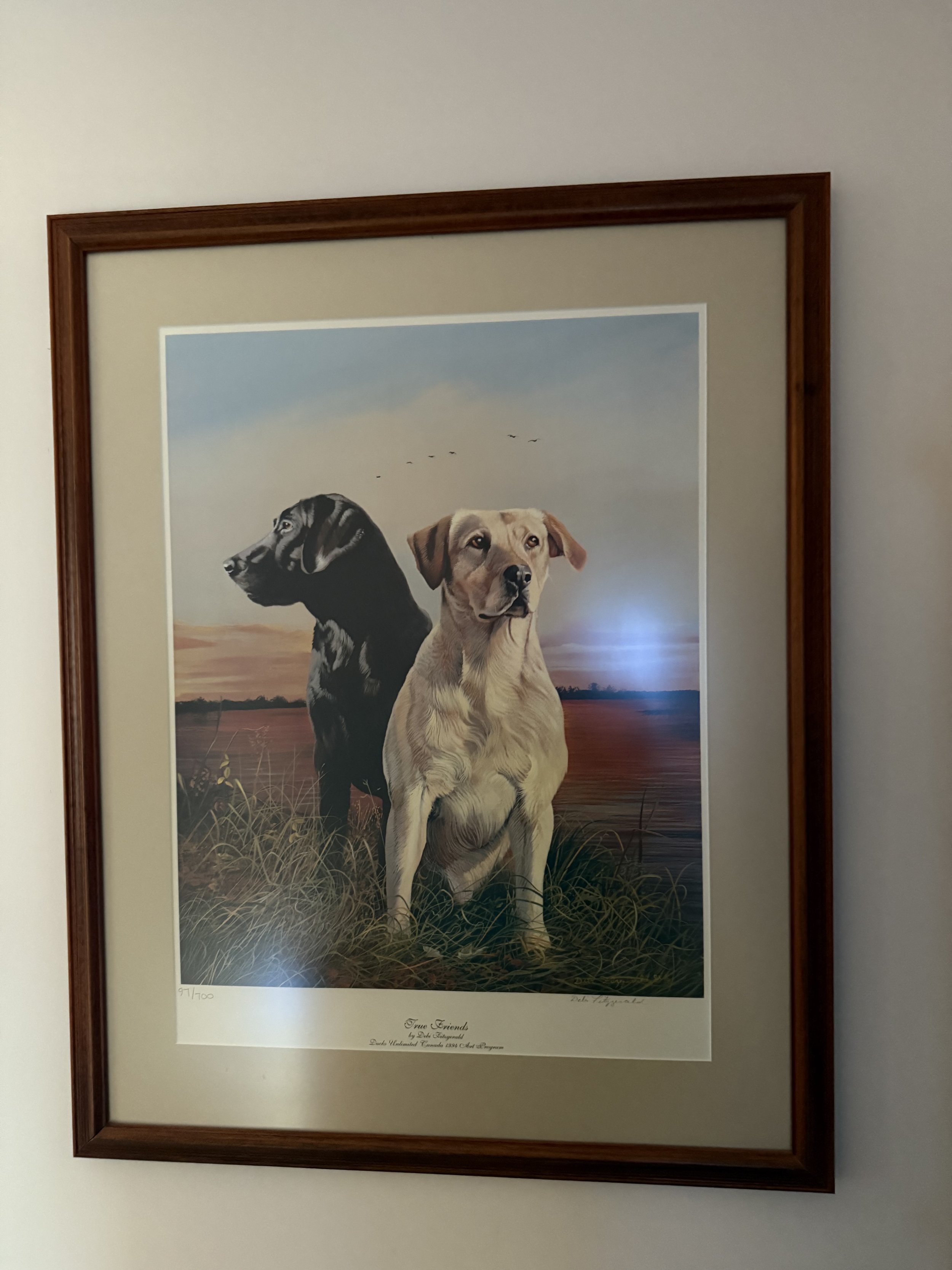 IMG_0161.jpeg