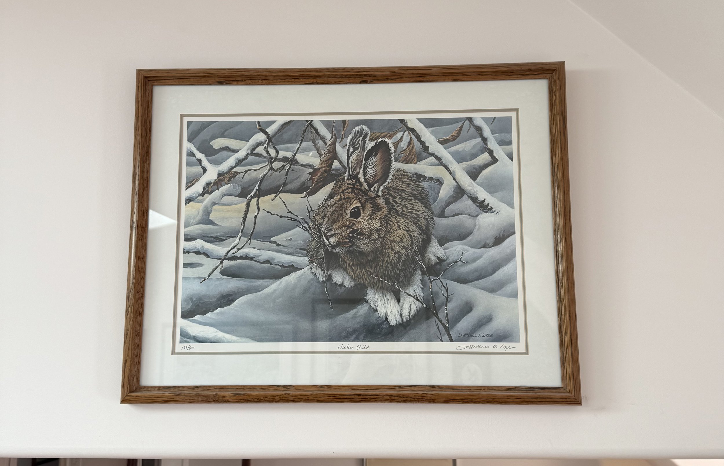 IMG_0083.jpeg