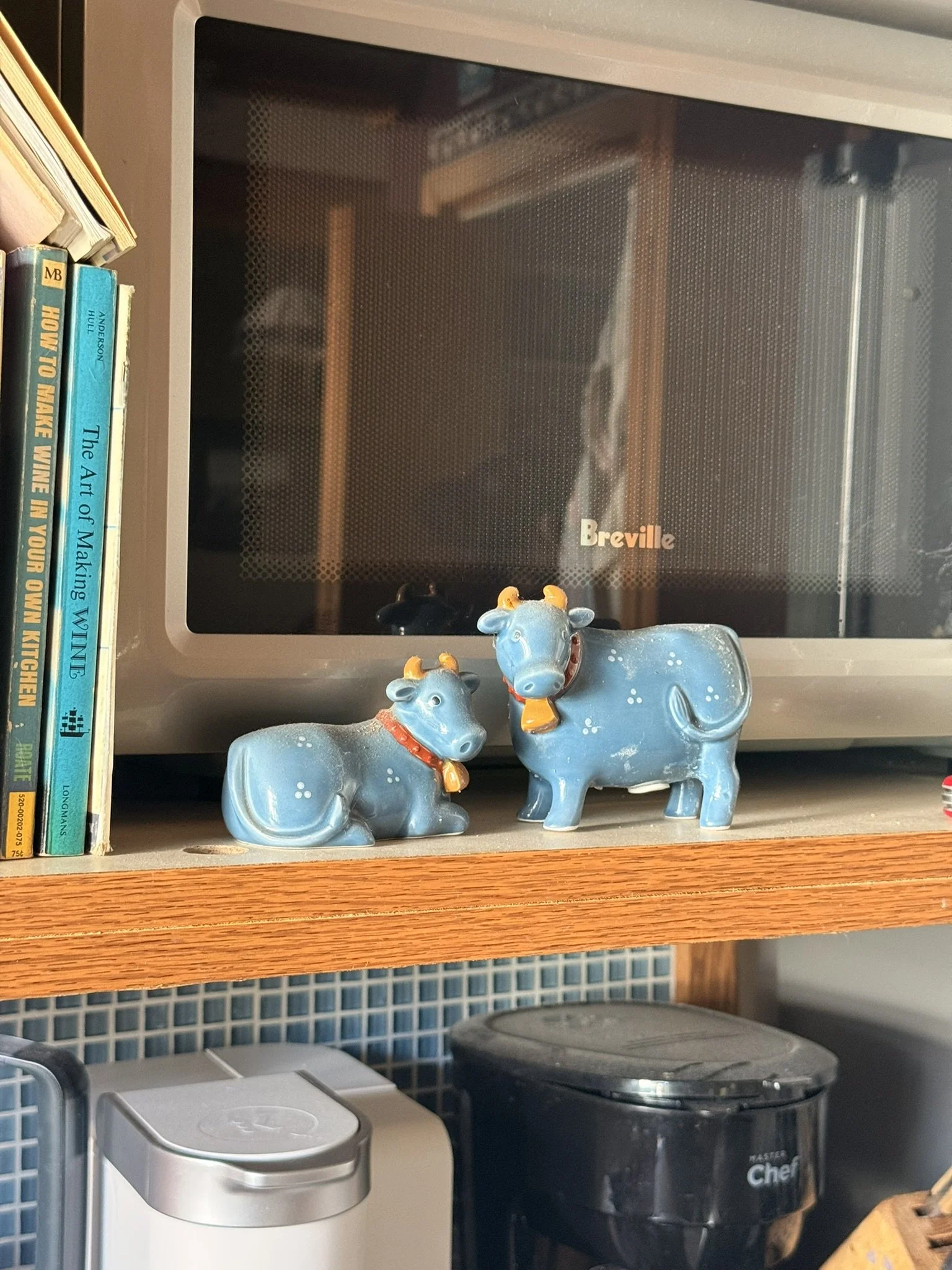 IMG_7203.JPEG