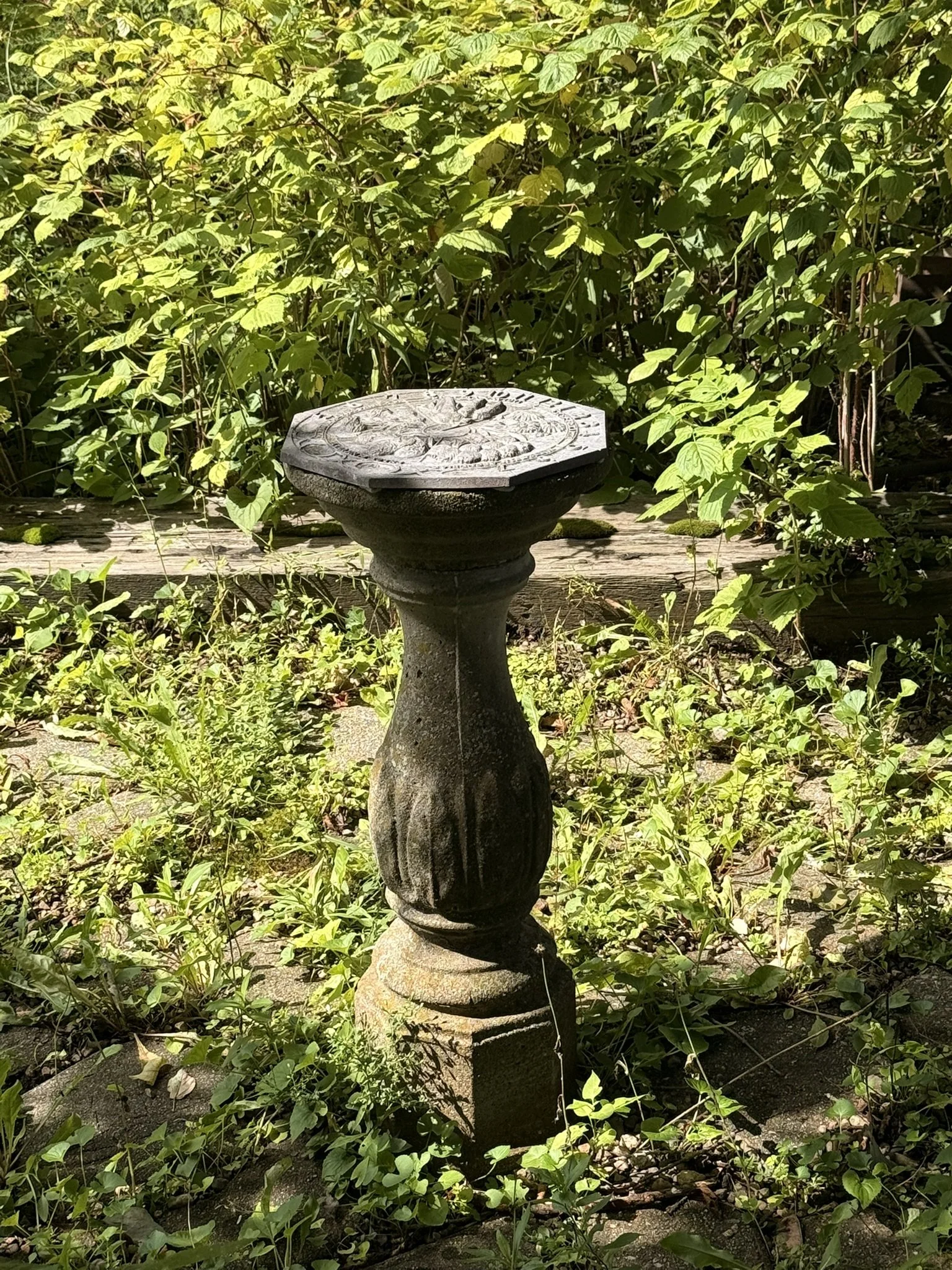 IMG_6964.JPEG