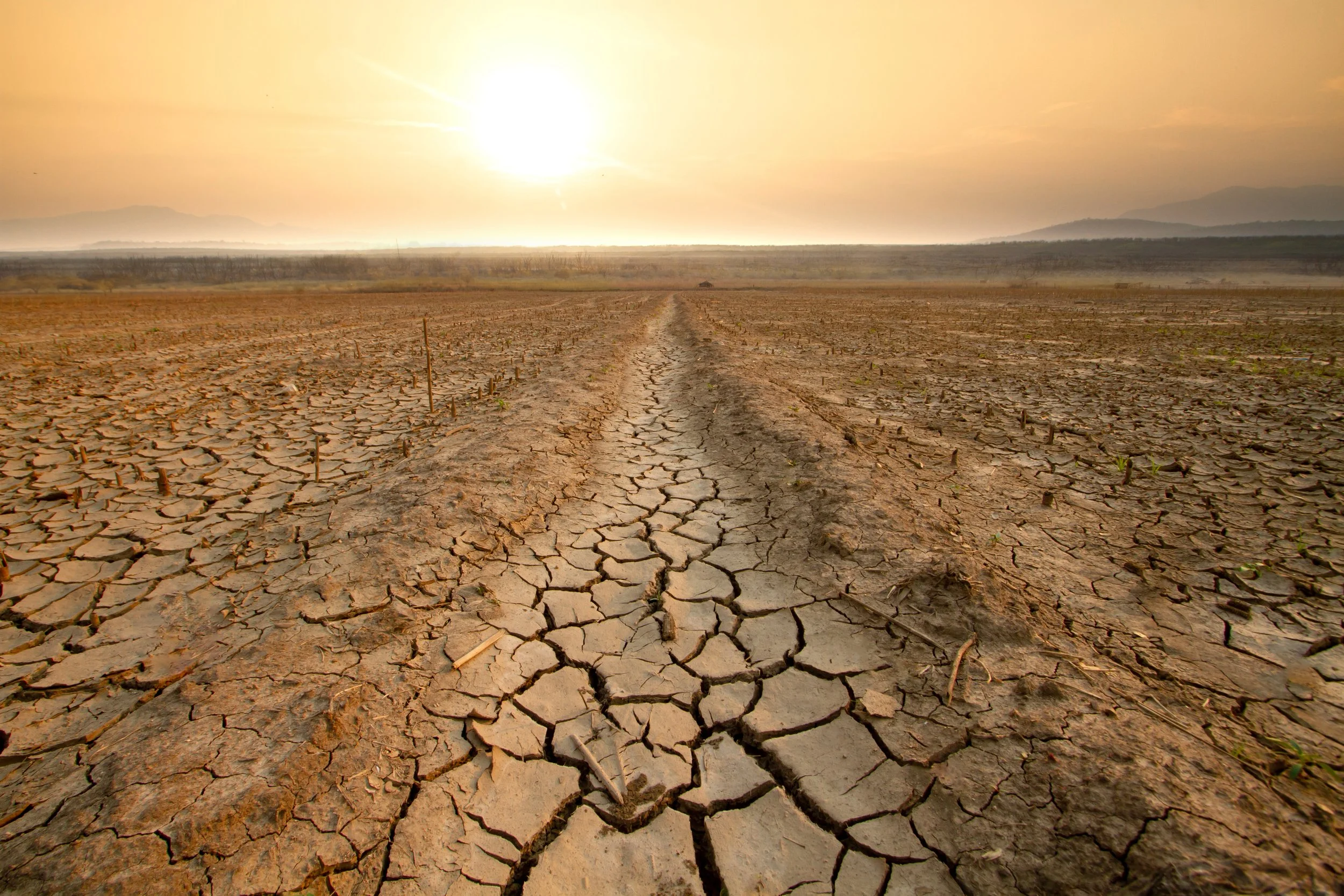 iStock-1477849066.jpg